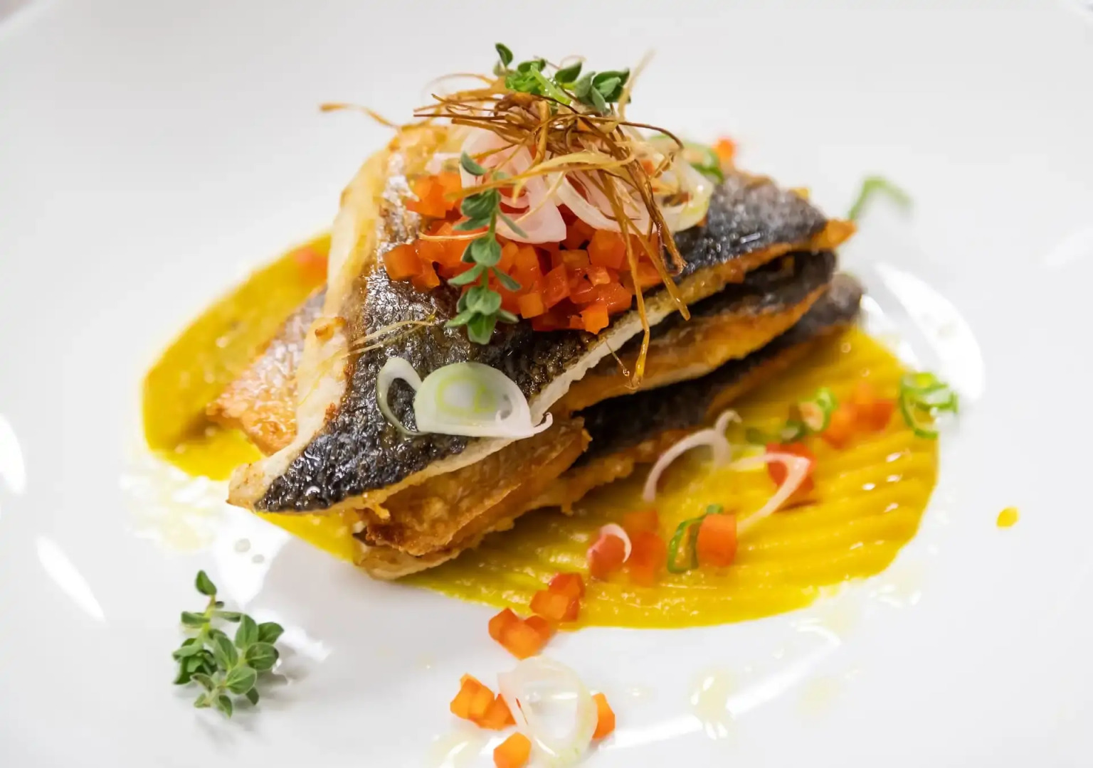 White Olive Elite Laganas - All Inclusive