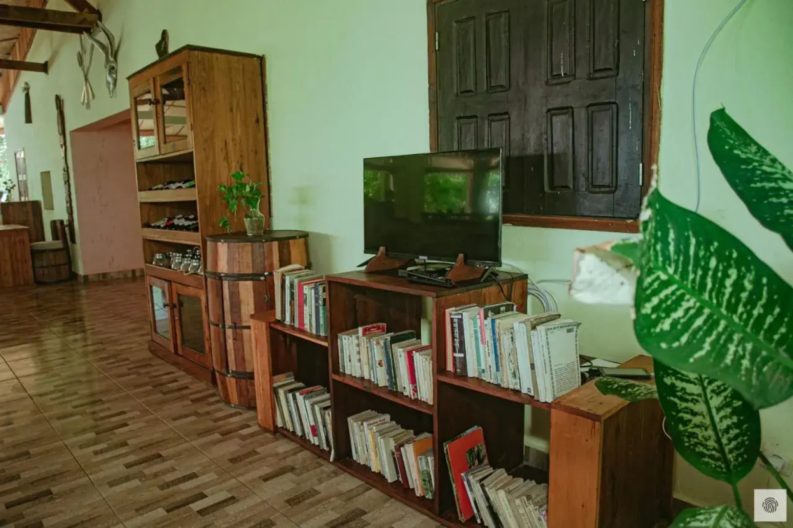 Eden De La Tsiribihina