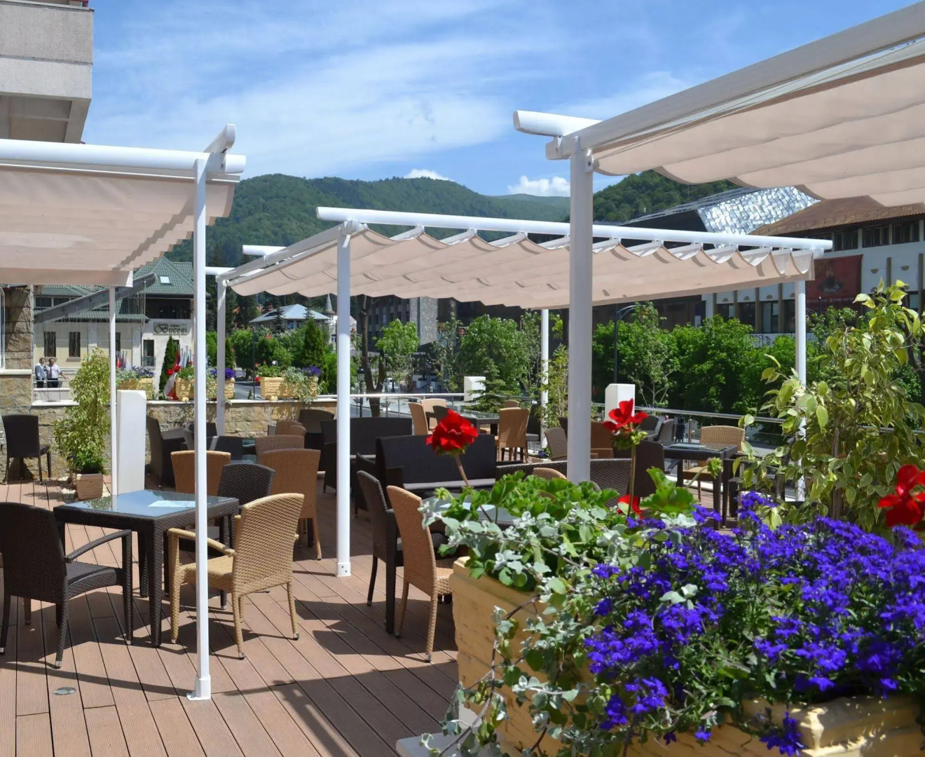 Alexandrion Experience