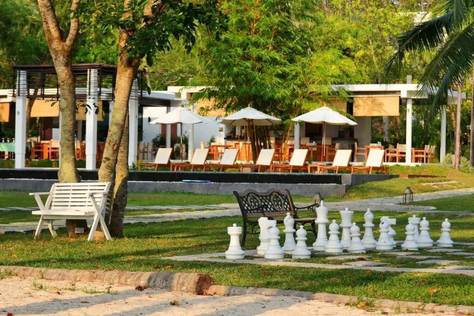 The Mangrove By Blu Monkey