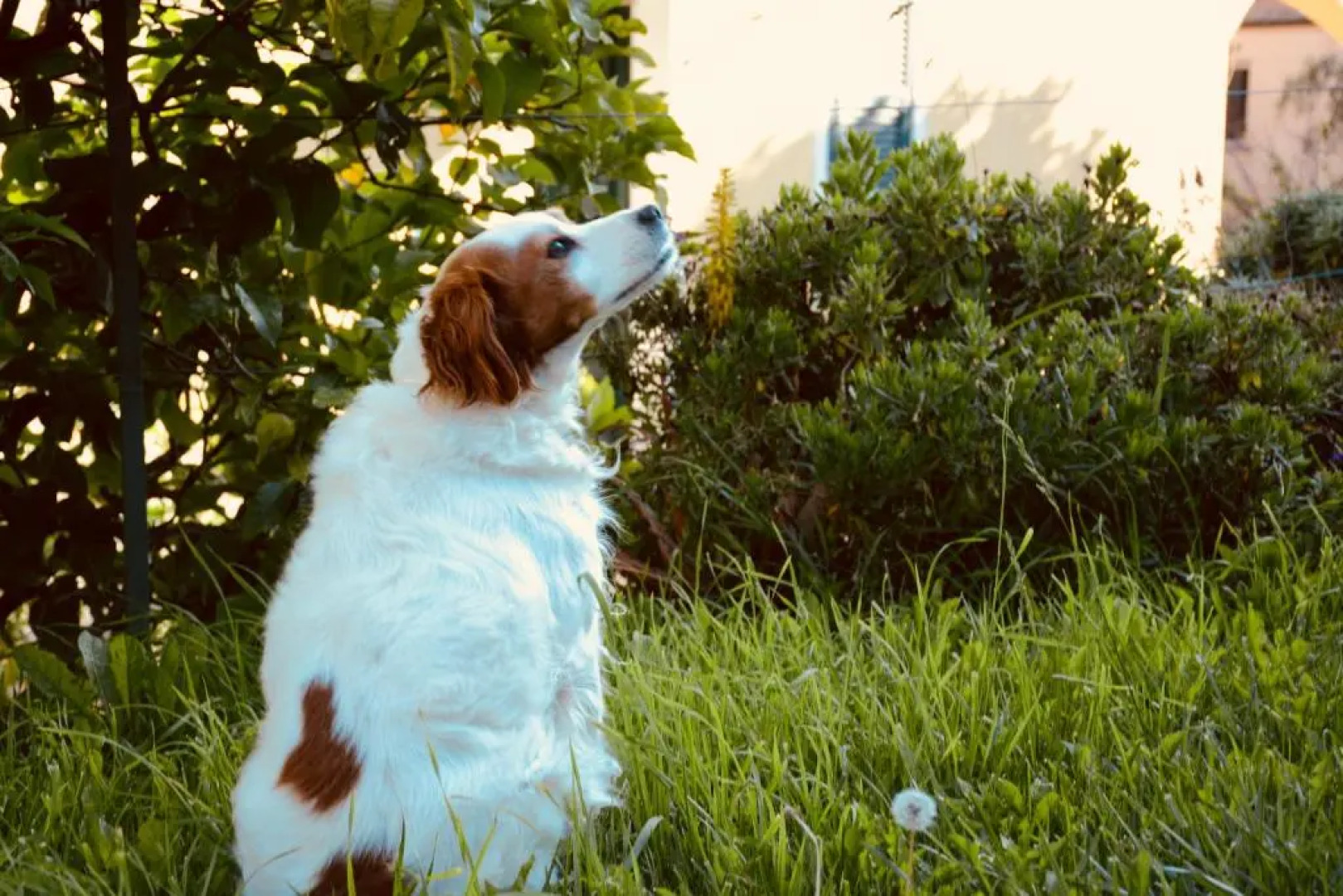 Agriturismo San Michele