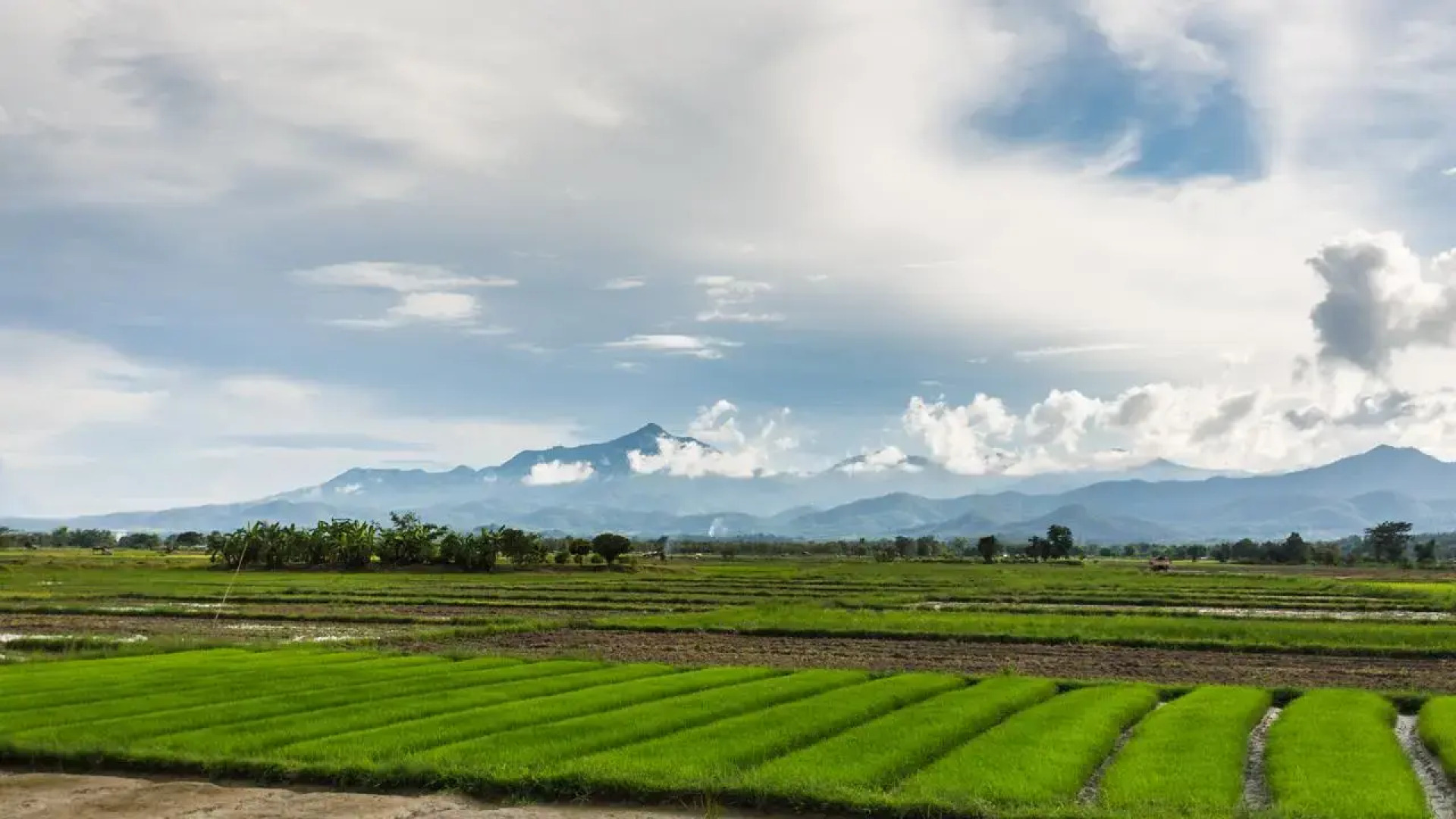 Khoom Kam Kaew Farm & Resort