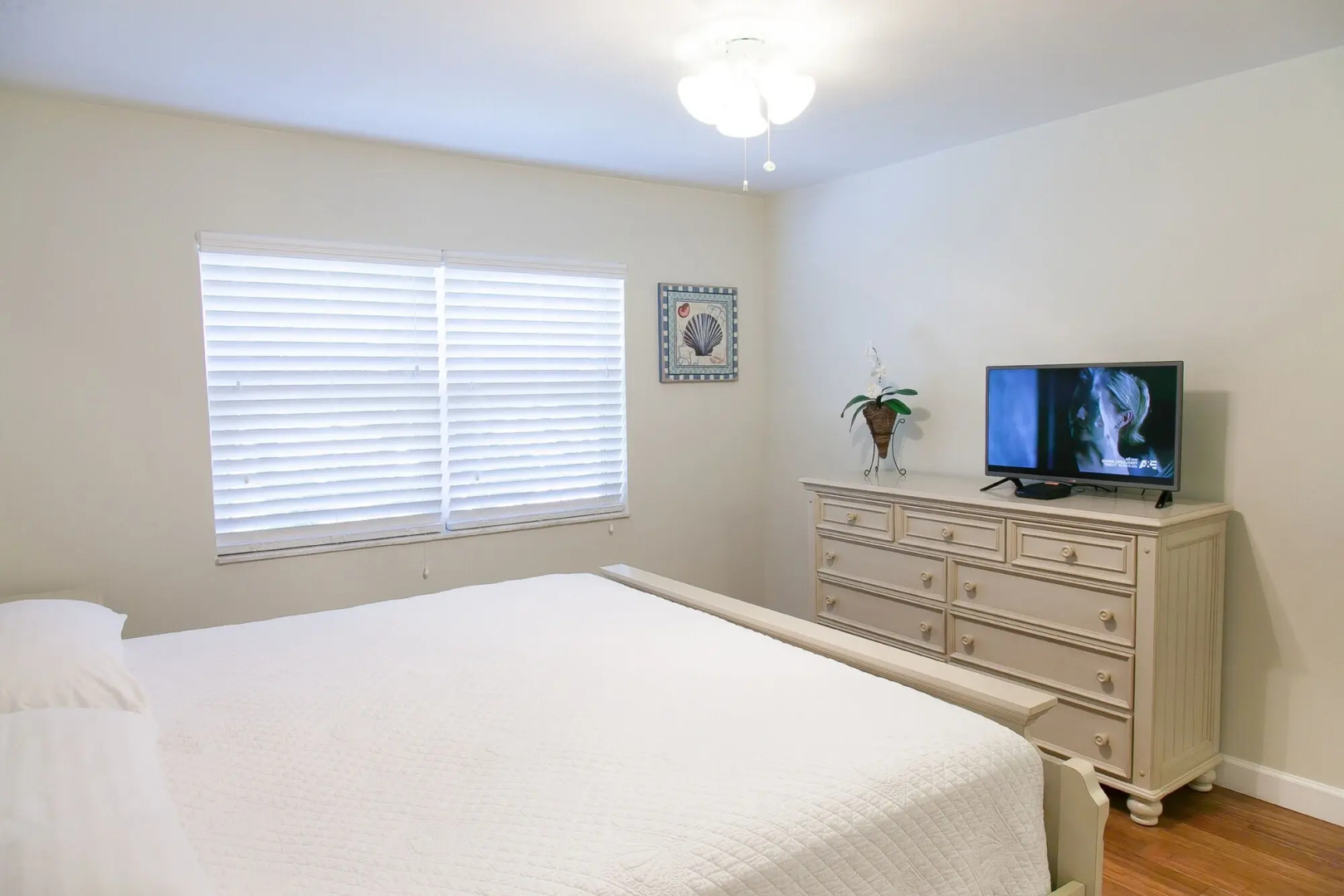 Dolphin Cove - Adults Only