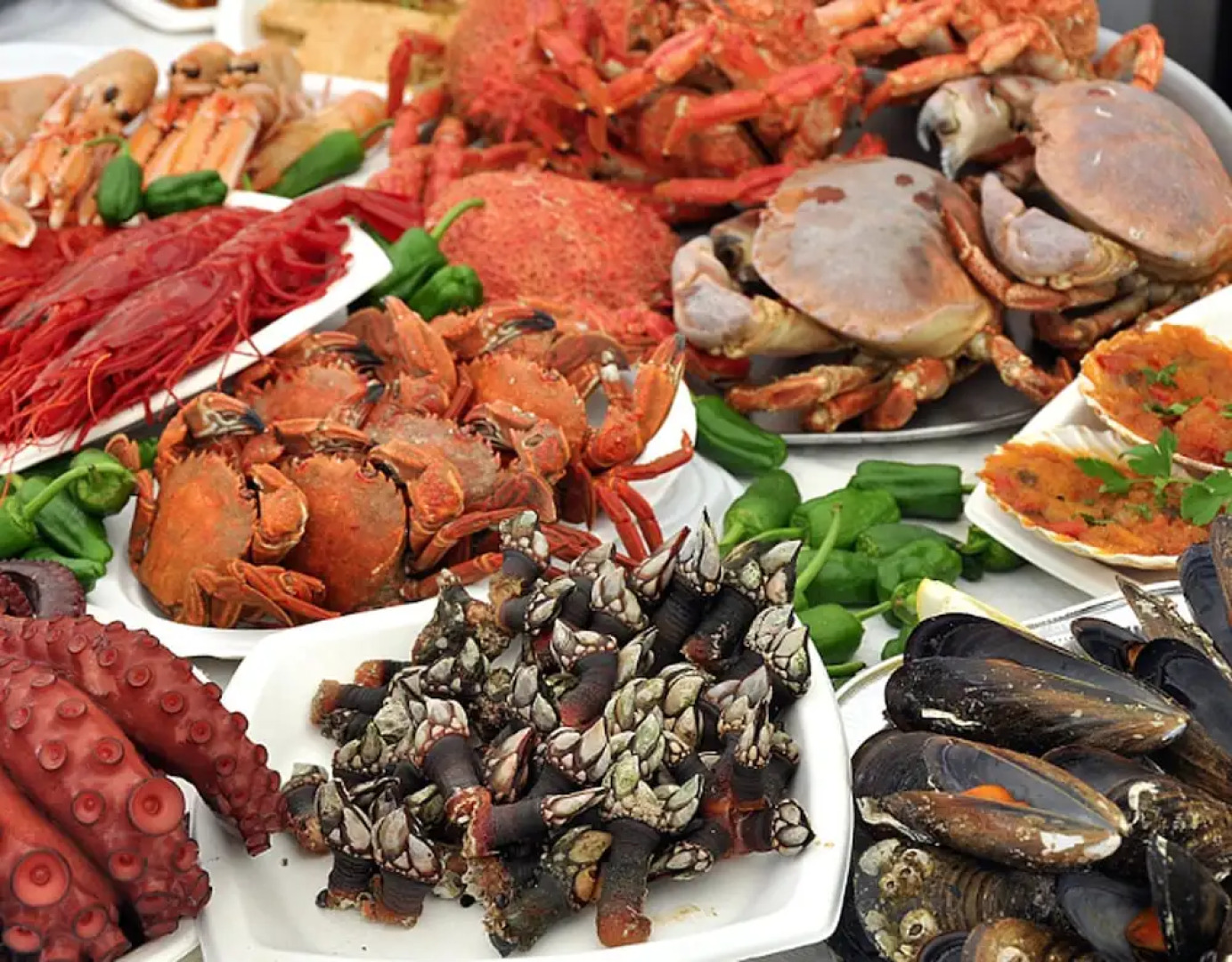 Porto Beach Apartment I