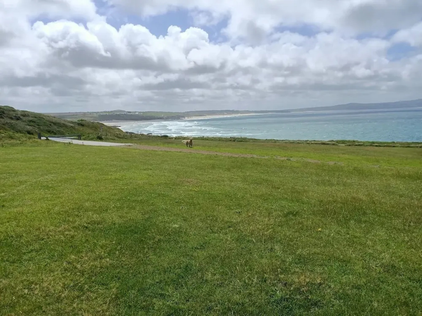 Secluded Meadow, Unique Shire Hut, Perfect Camping