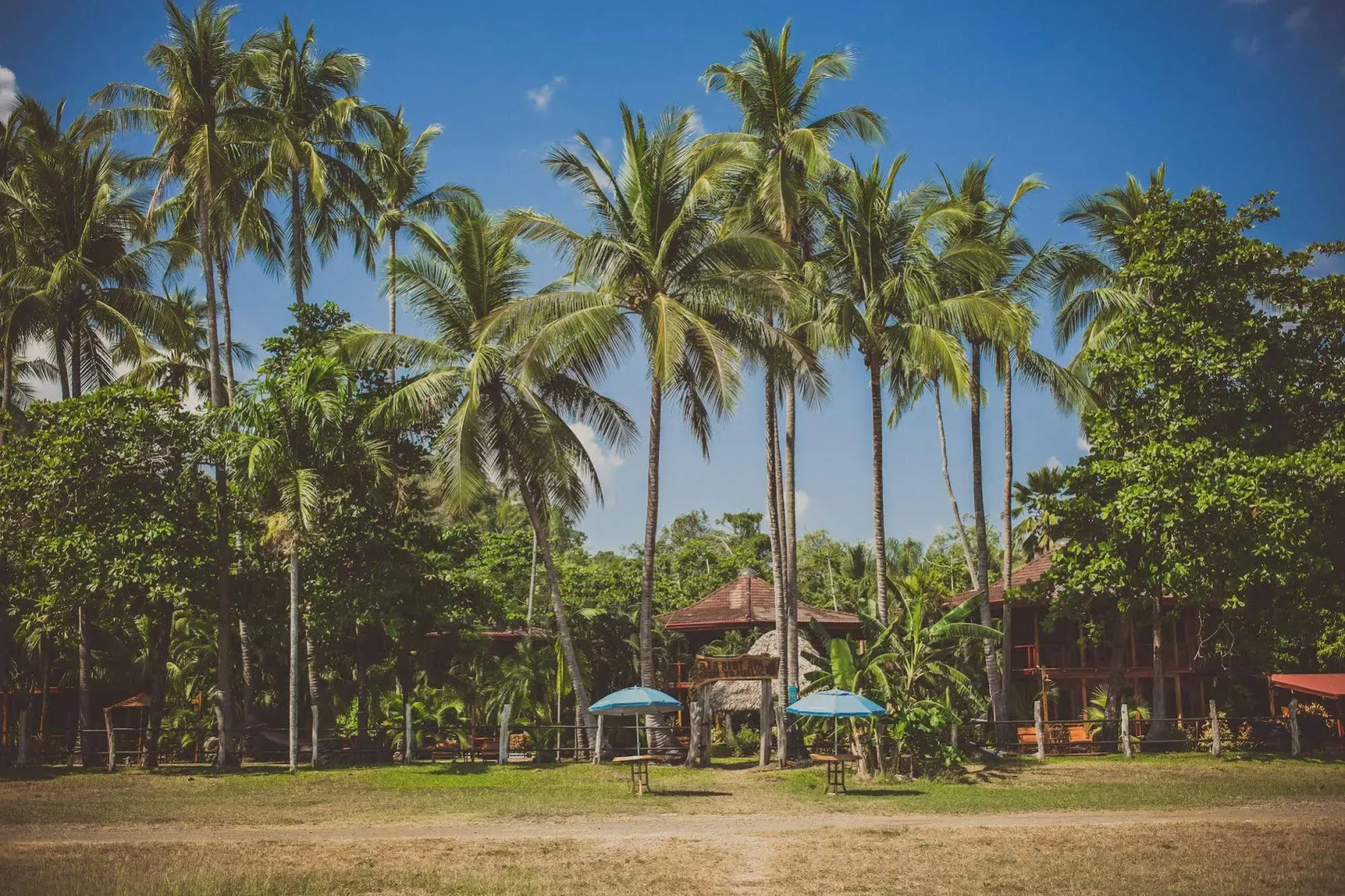 Tambor Tropical - Adults Only