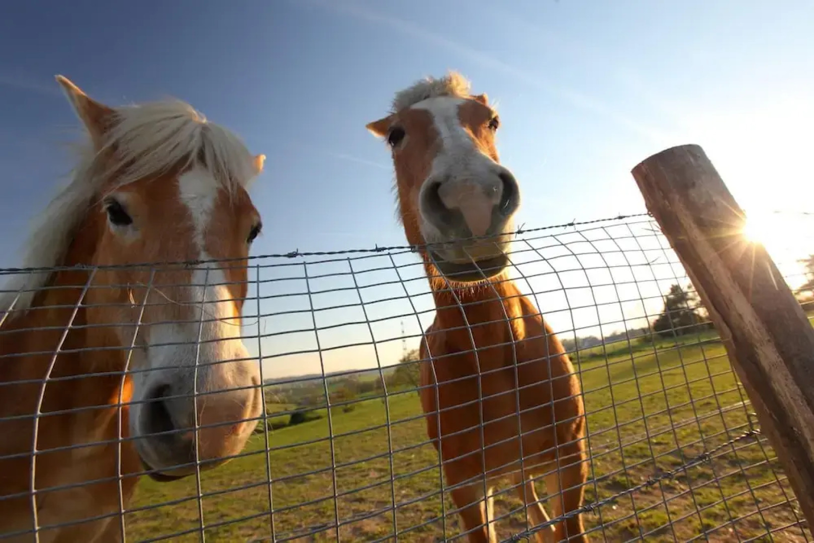 Well-kept Bungalow With Microwave Near Valkenburg