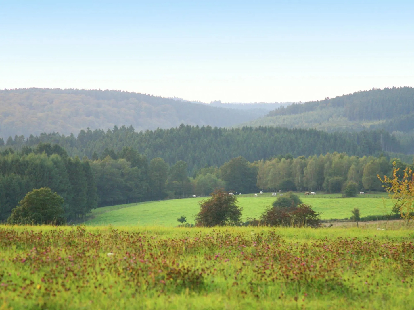 Winenne Home With Hot Tub