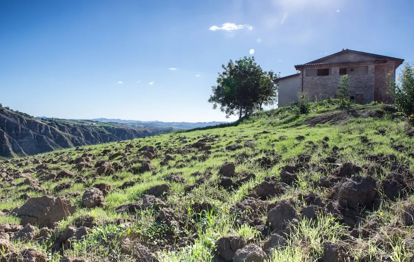 Società Agricola Zucchera S.S.