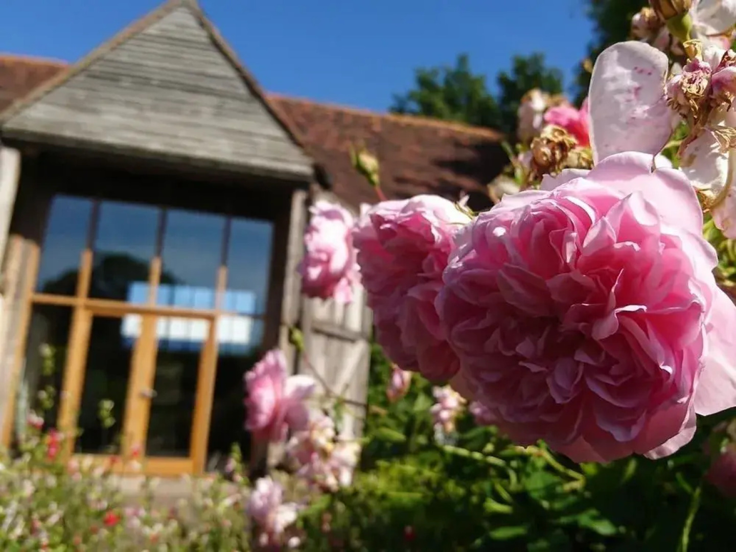 The English Wine Centre