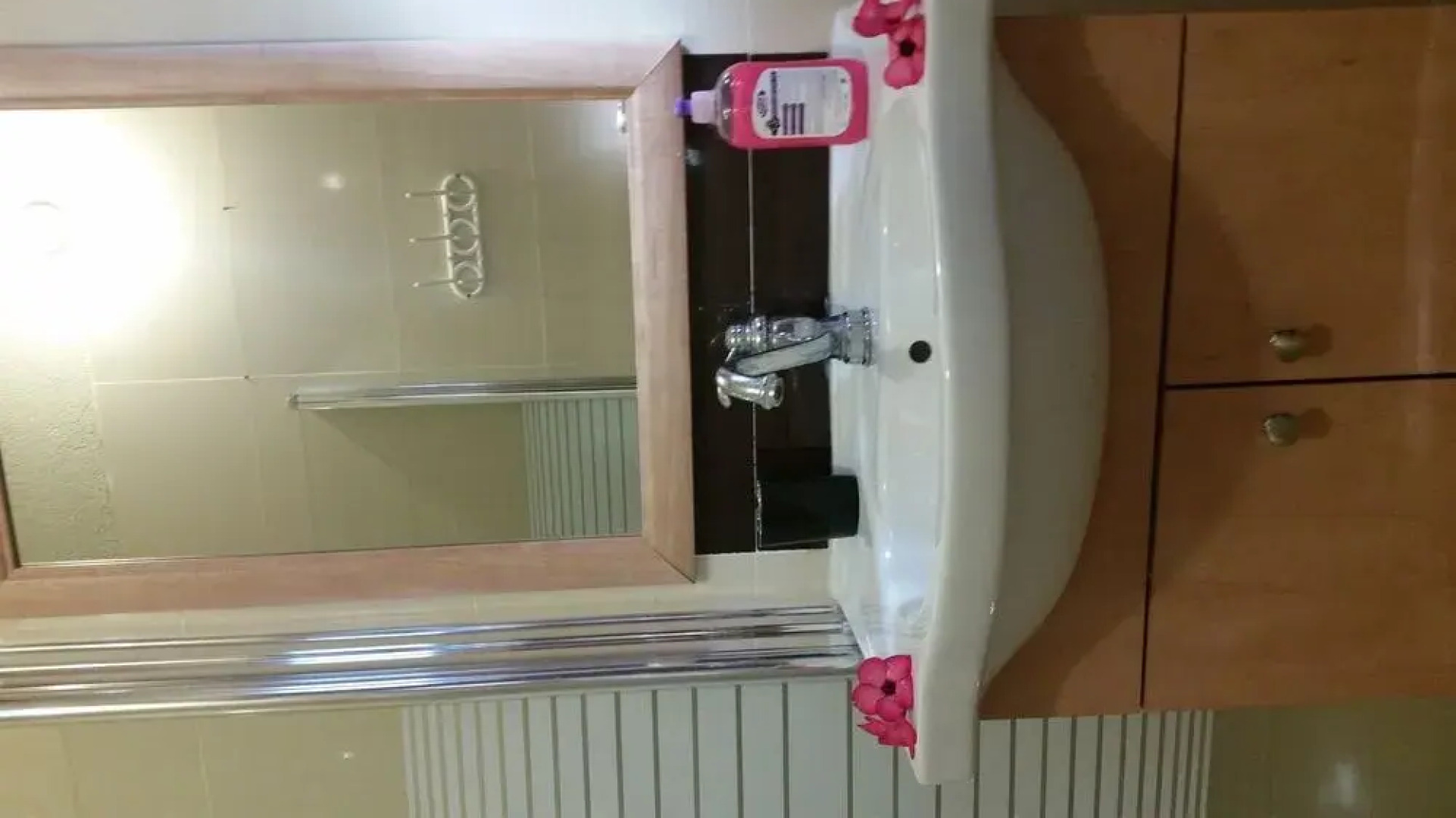 Zimmer Dora Dead Sea