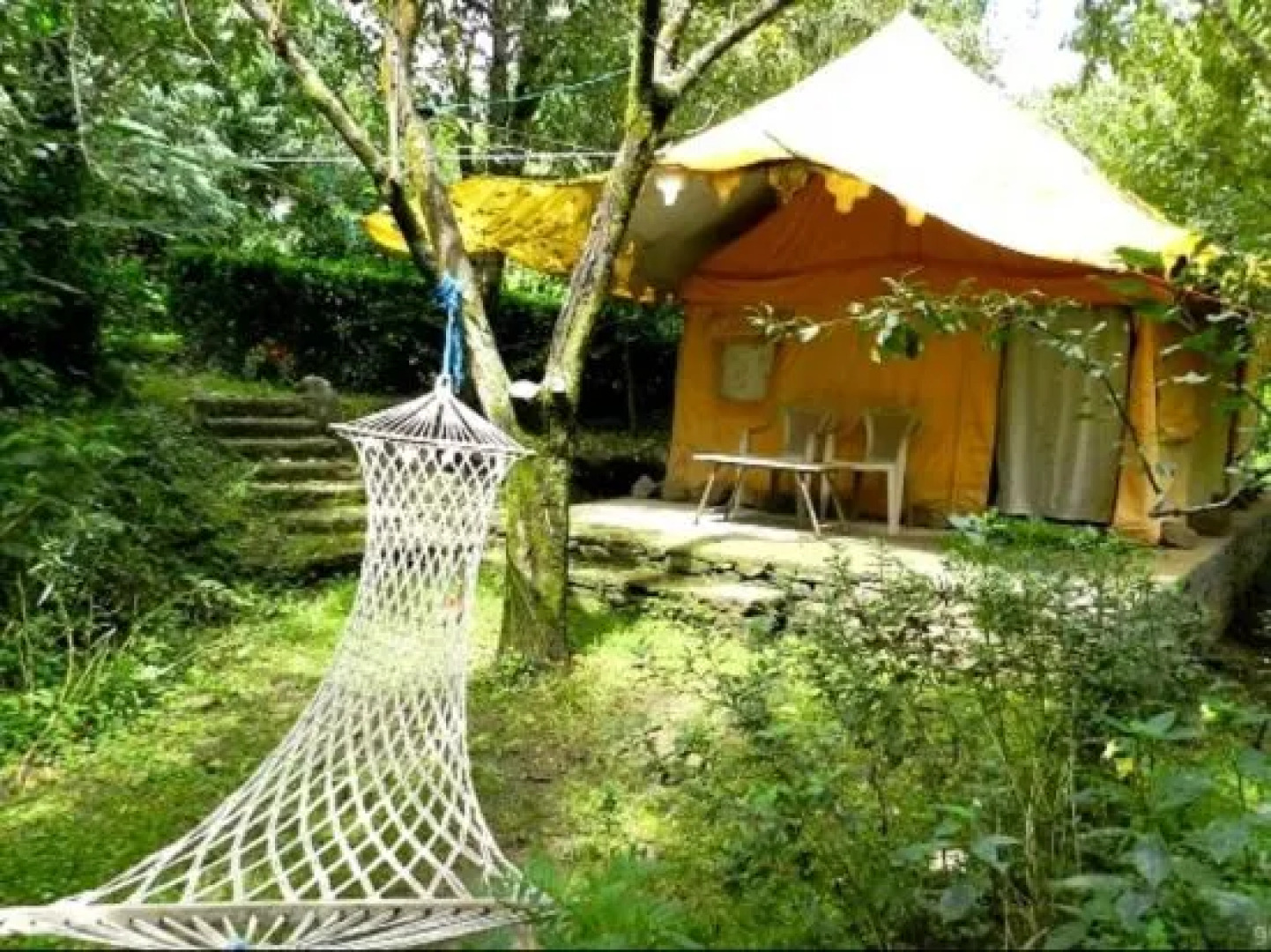 Manali Treehouse Cottages