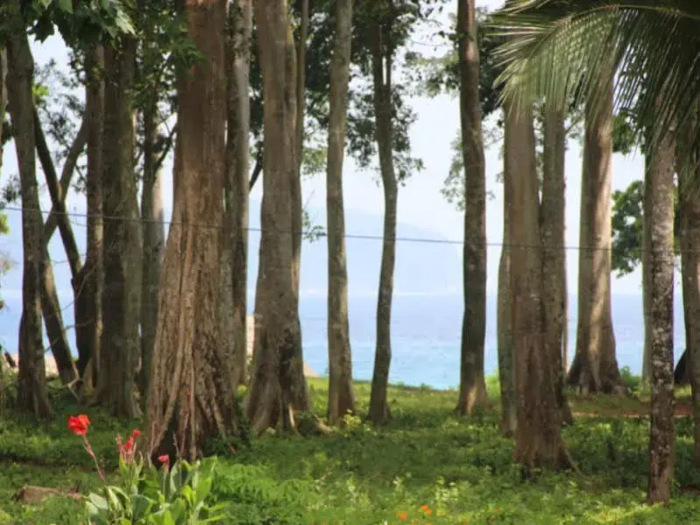 Pearl Park Beach Resort