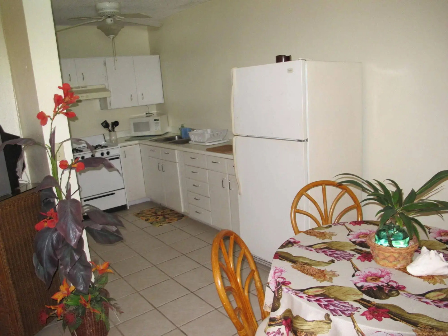 Eldemire's Tropical Island Inn