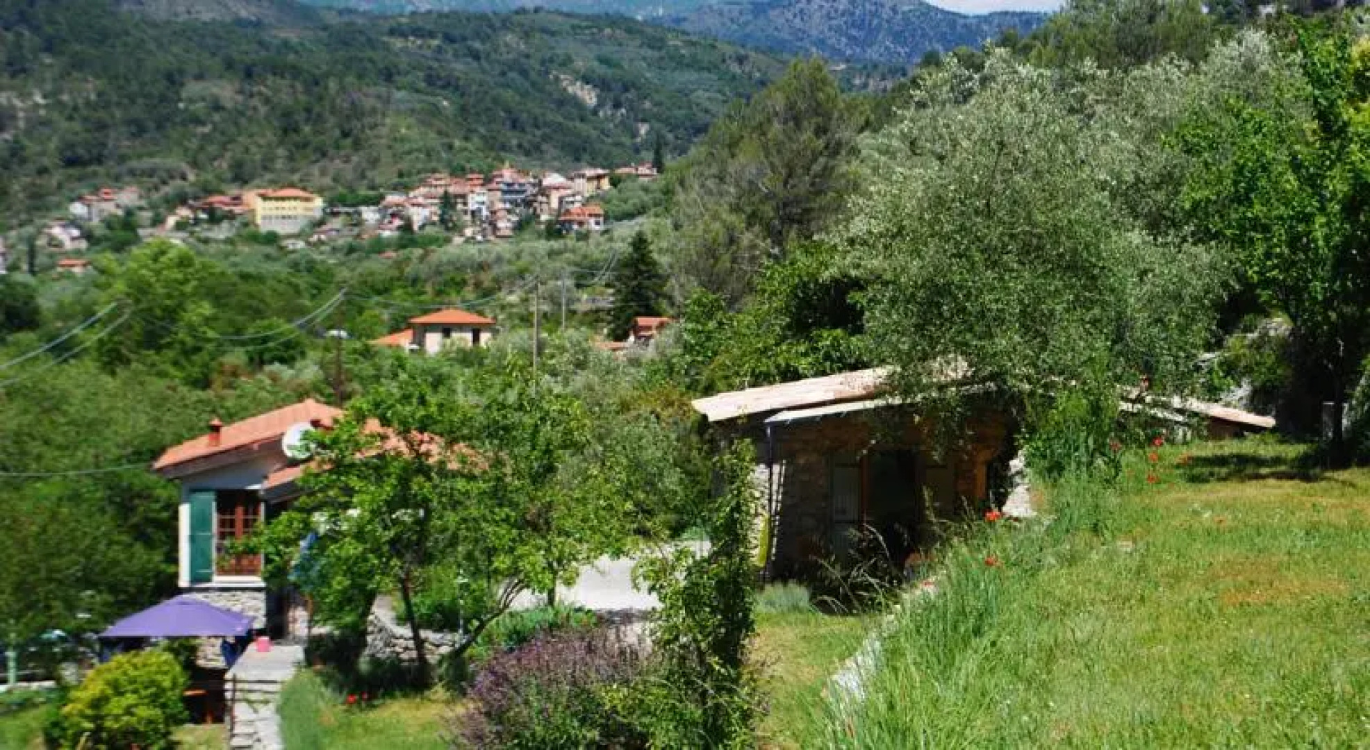 Olivetta San Michele