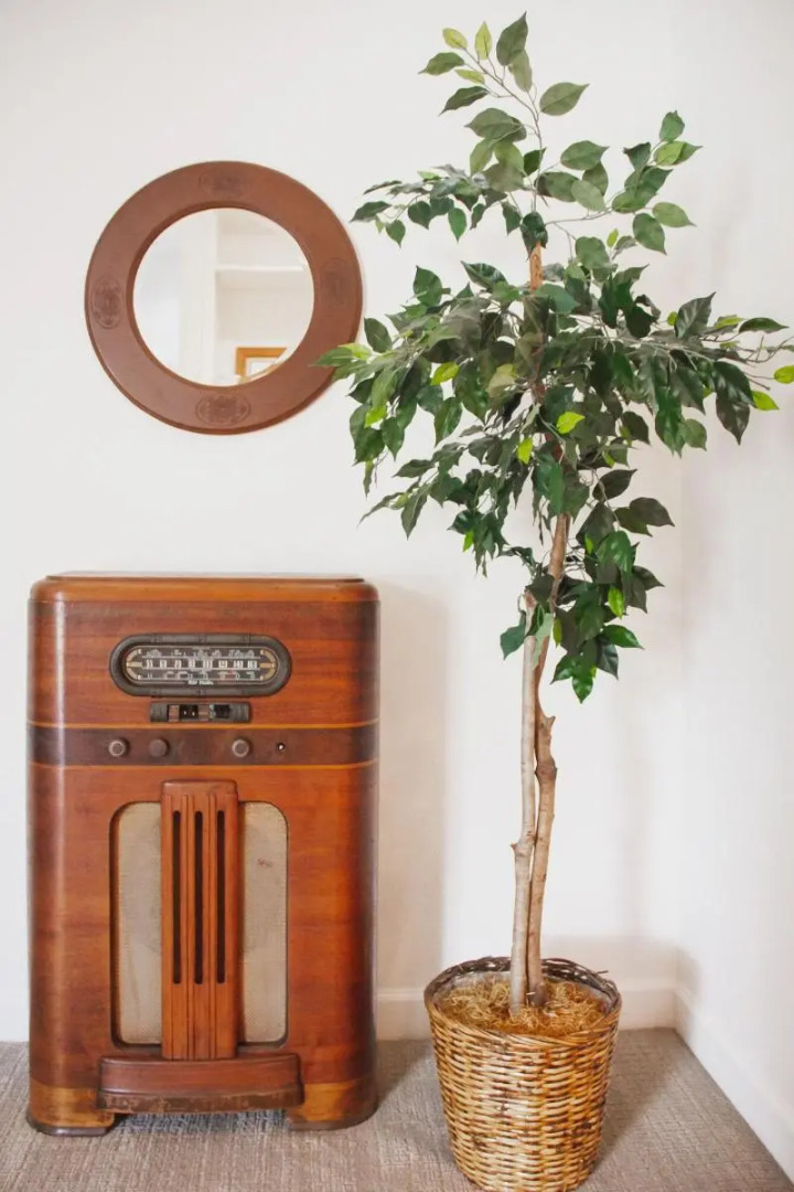 The Respite Bed and Breakfast