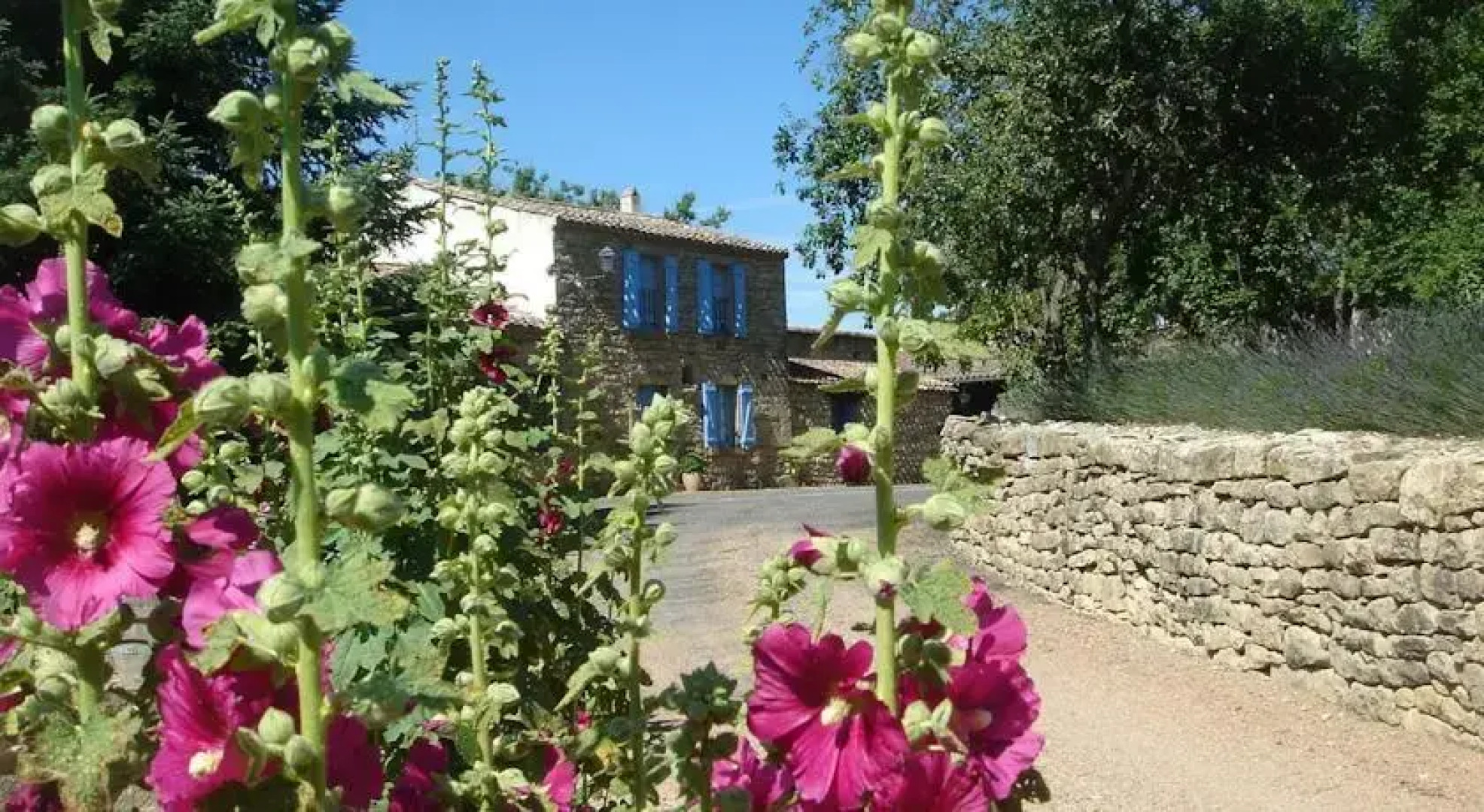 Domaine De Mournac