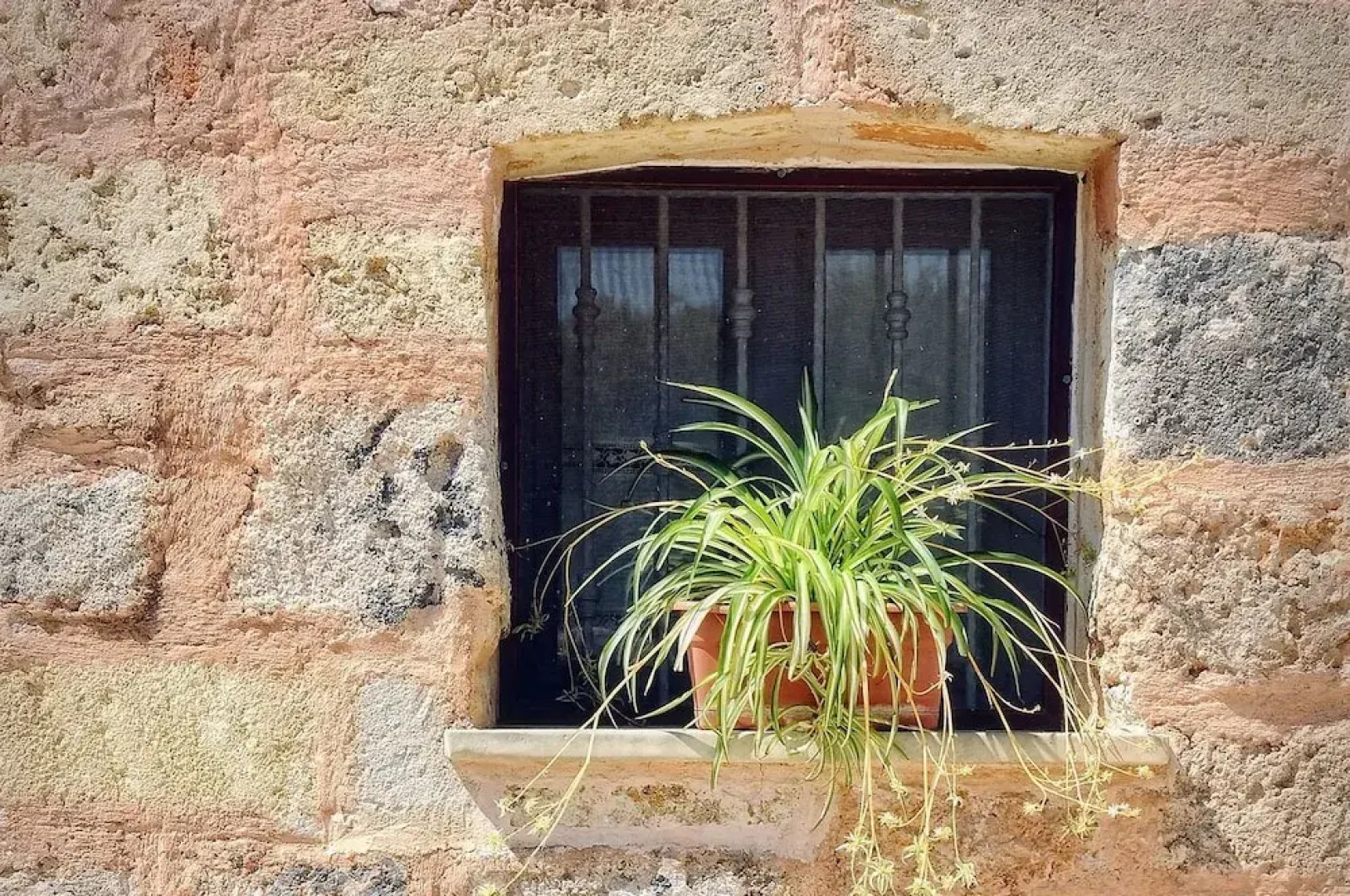 B&B Tenuta Donnamella