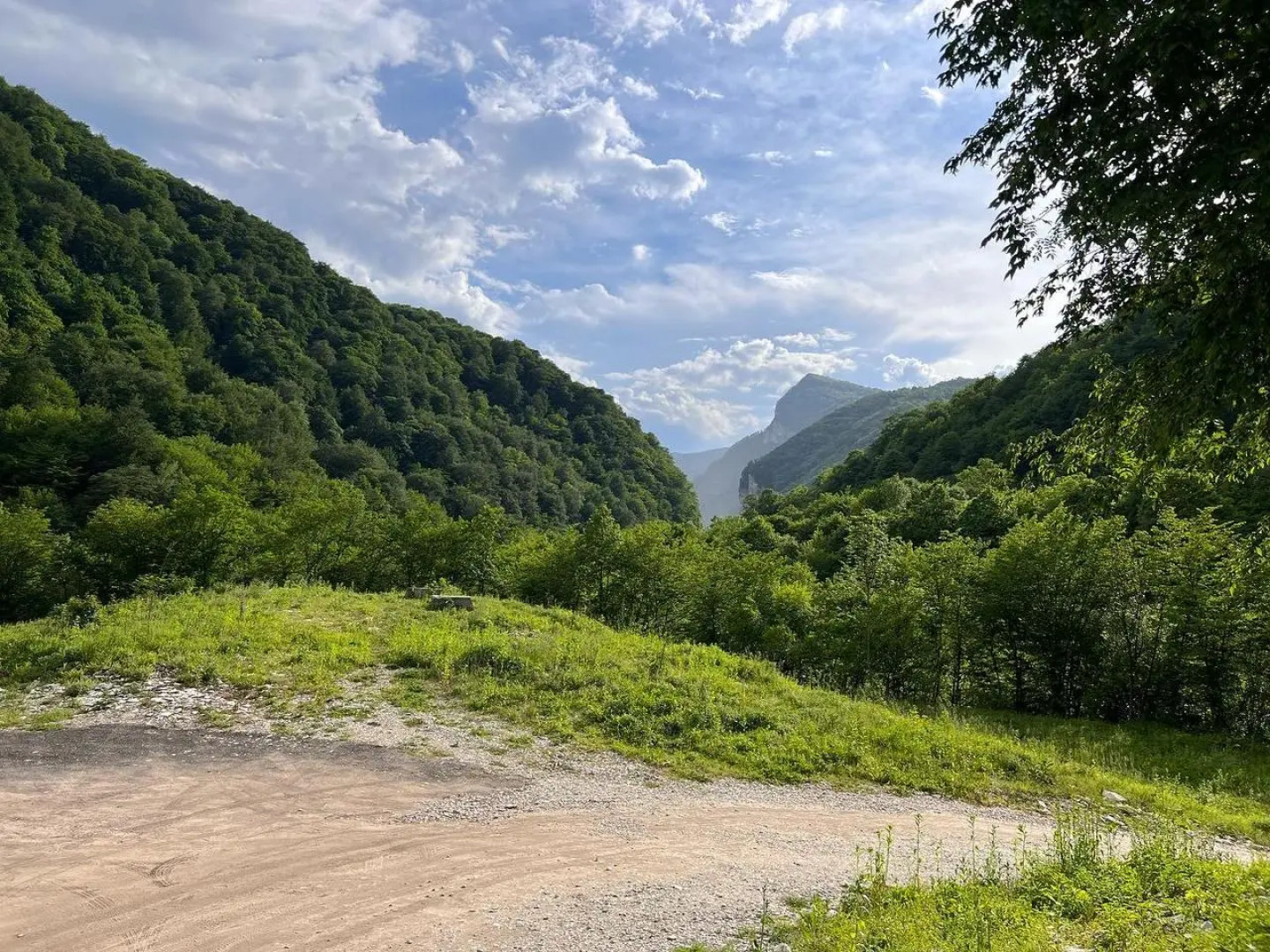 BioGorec (БиоГорец)