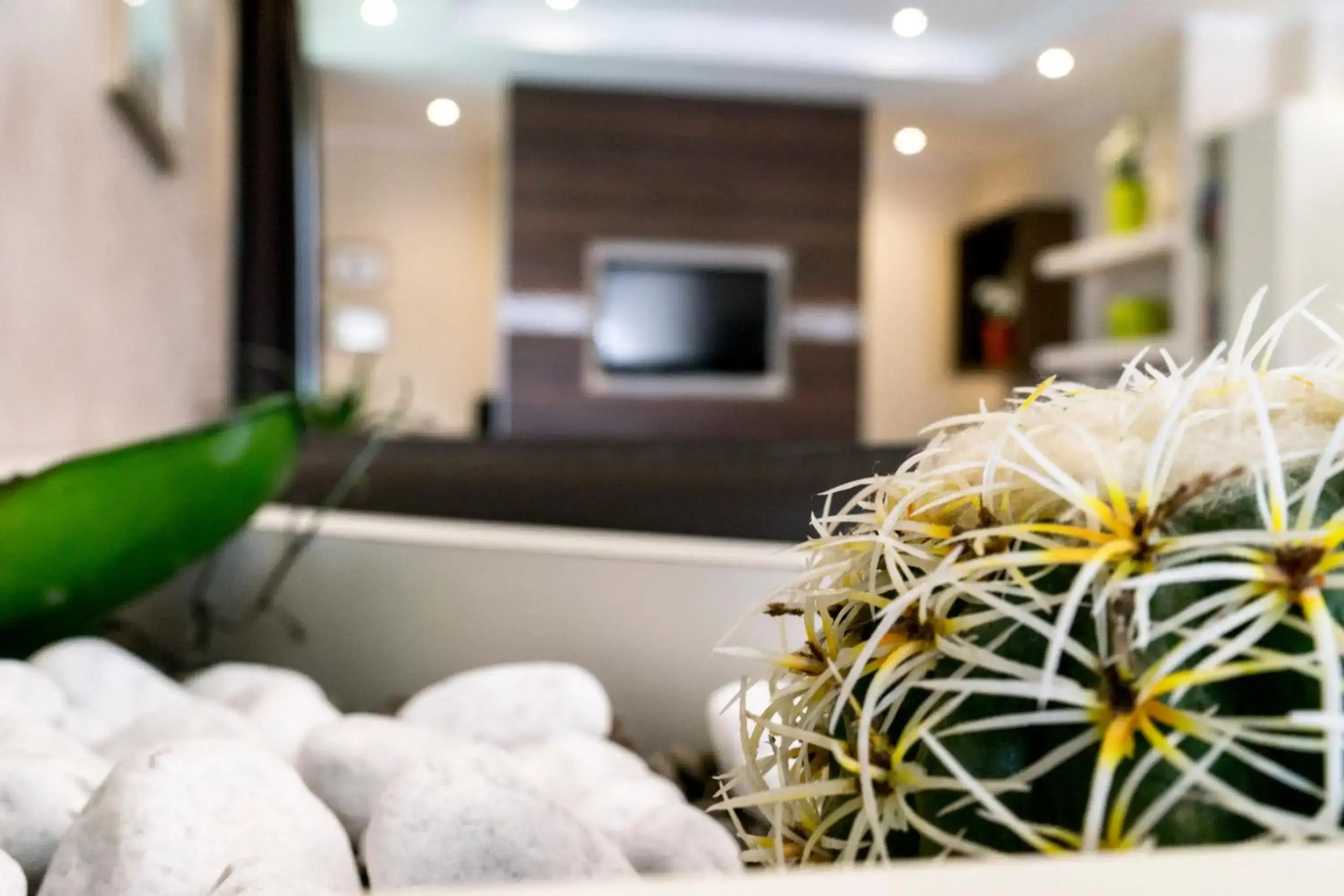 Hotel Sorriso
