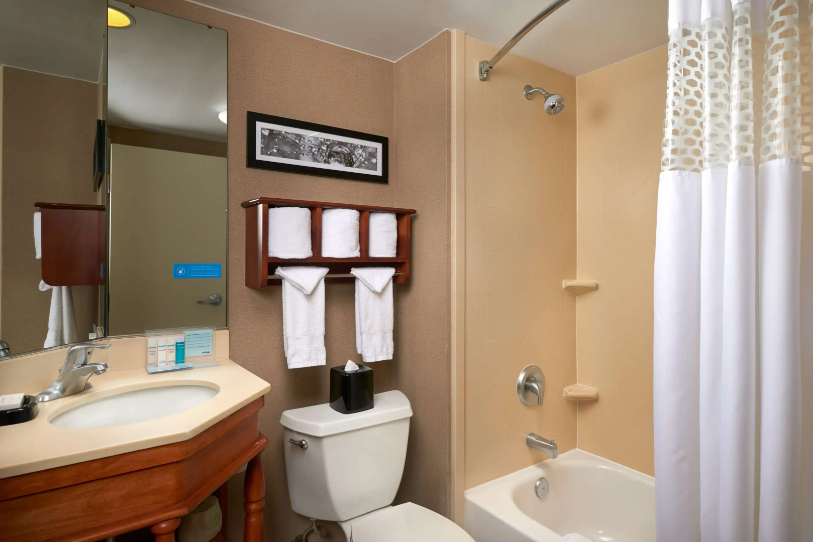 Hampton Inn Ann Arbor-South