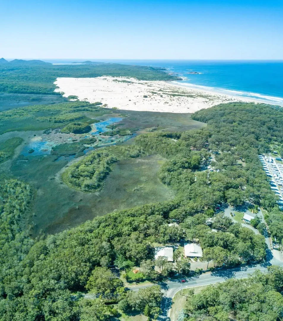 Port Stephens Koala Sanctuary