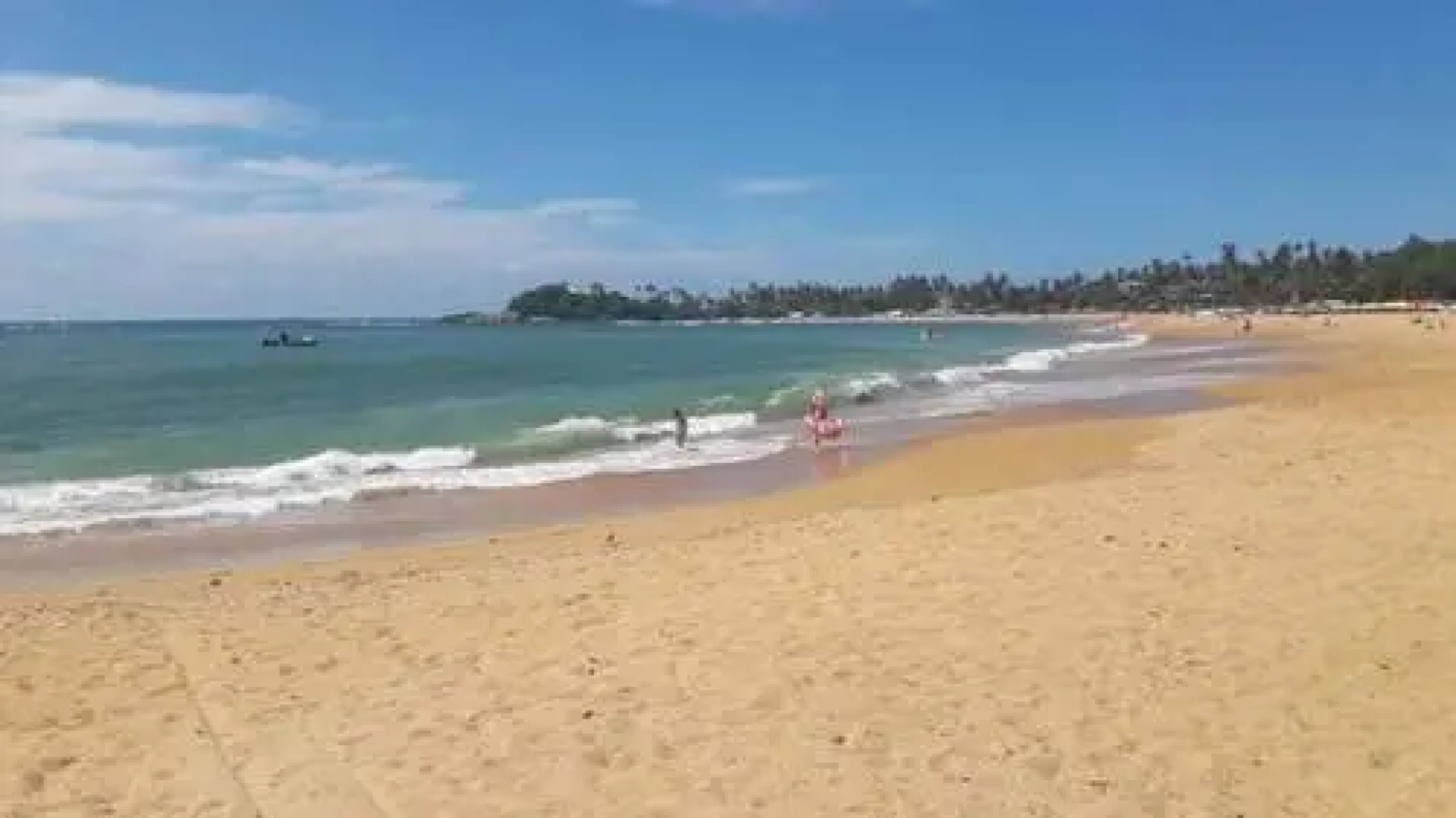 Jungle View apartment