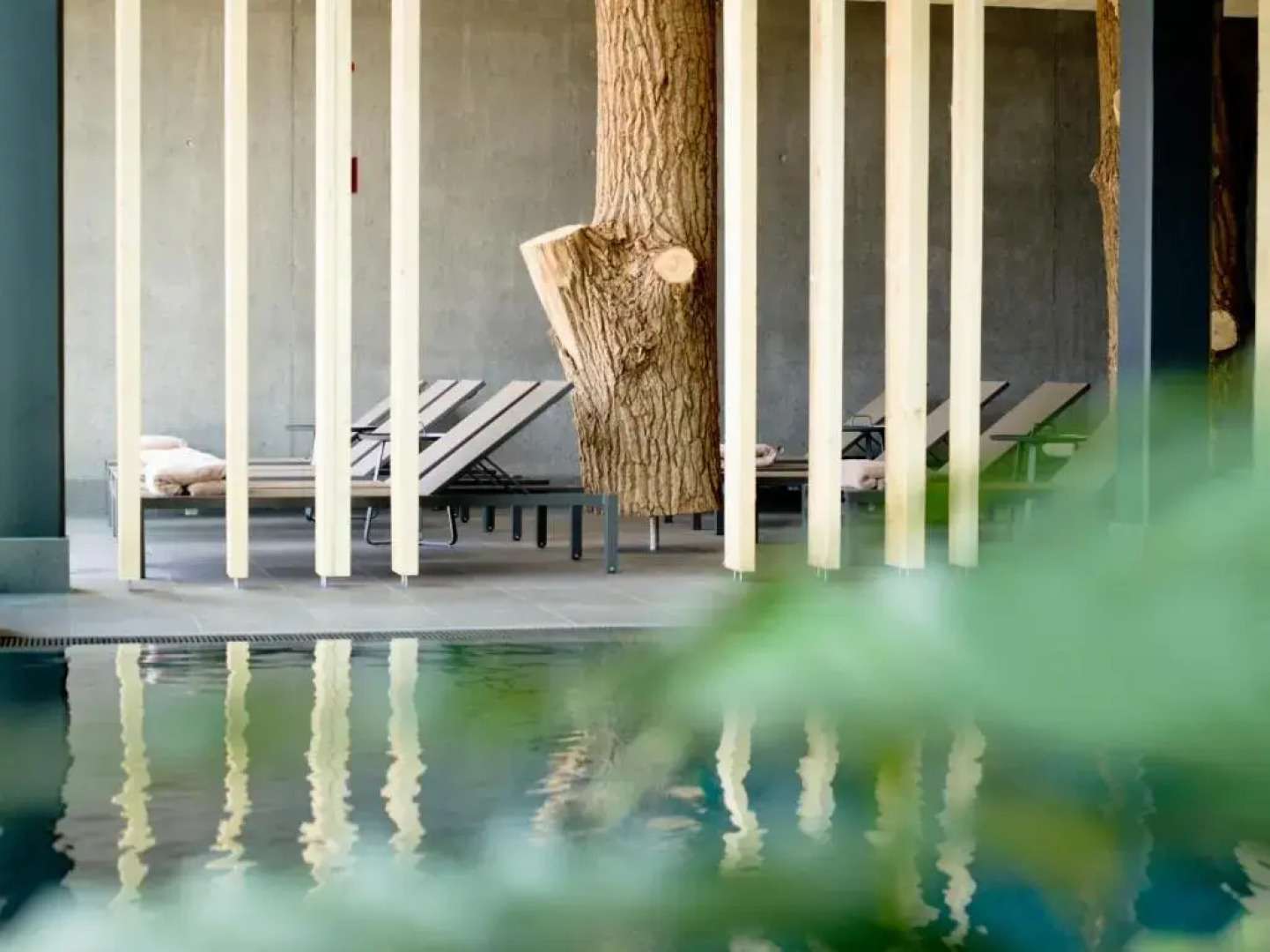 Euler Neuschönau Naturhotel