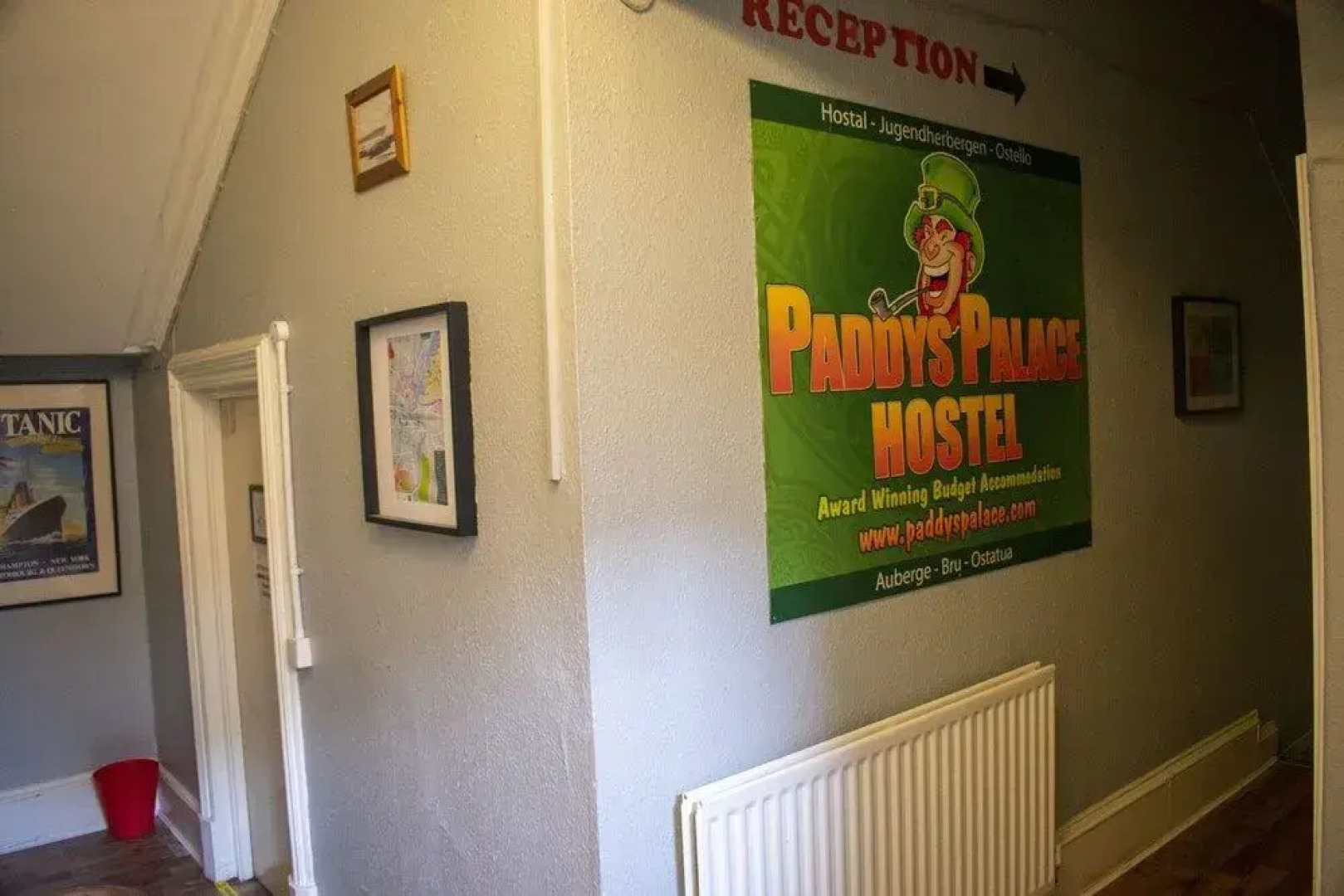 Paddys Palace Belfast