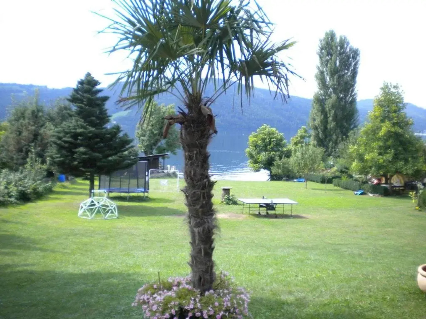 Ferienwohnungen Seerose direkt am See