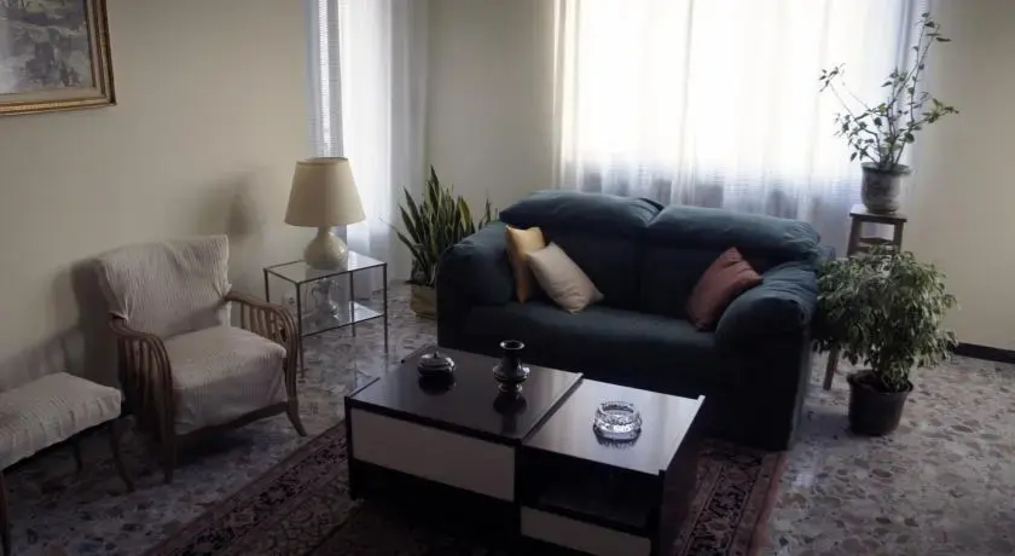 Il Piccione Viaggiatore