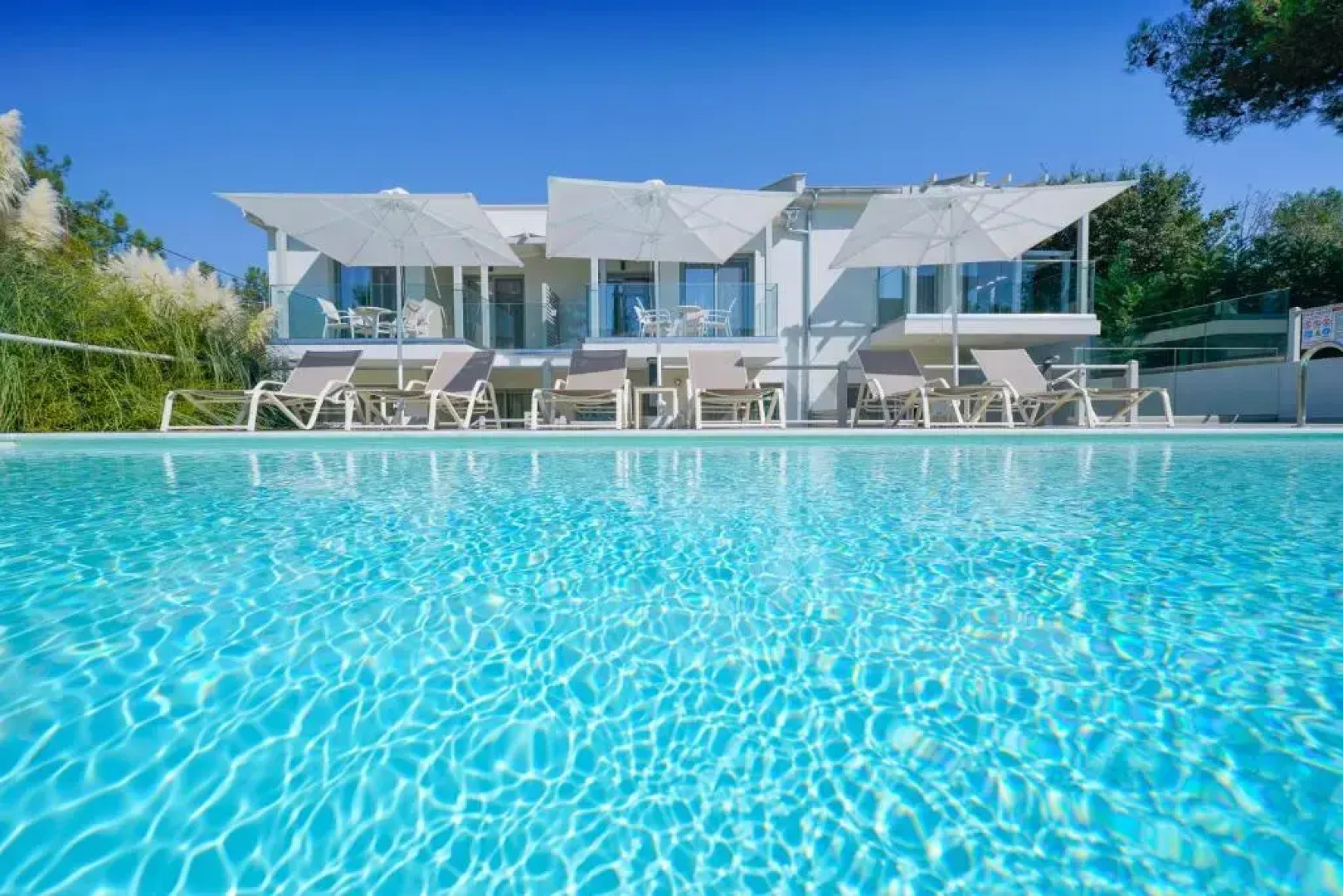 The Elegant Apartments