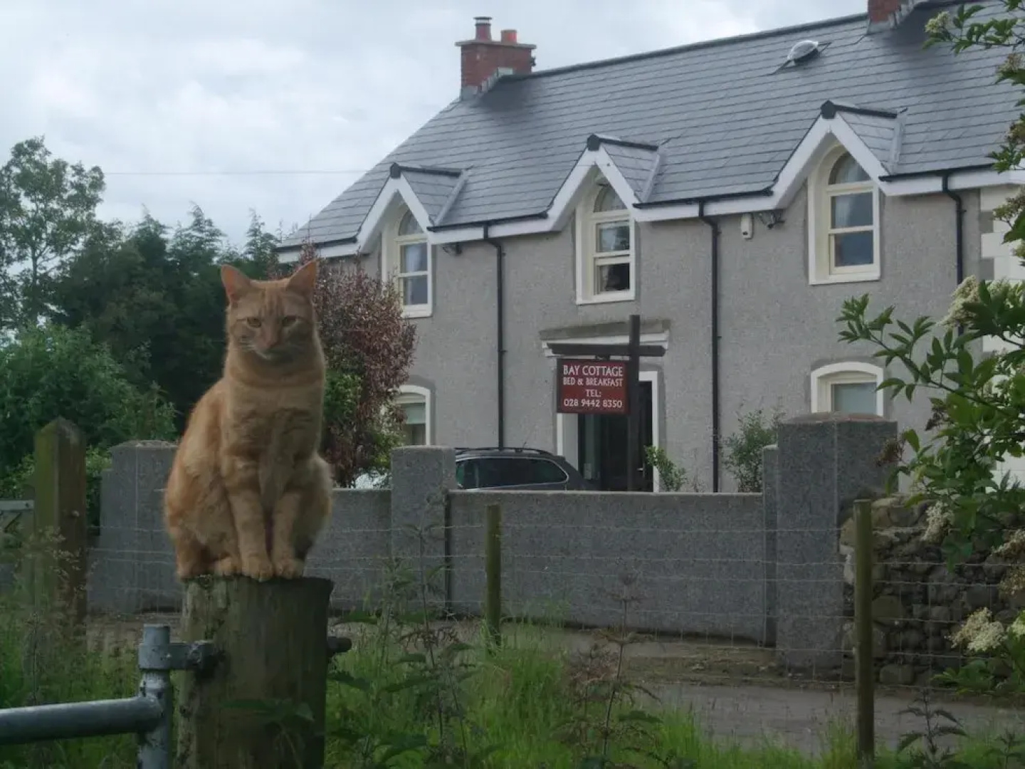 Bay Cottage B&B