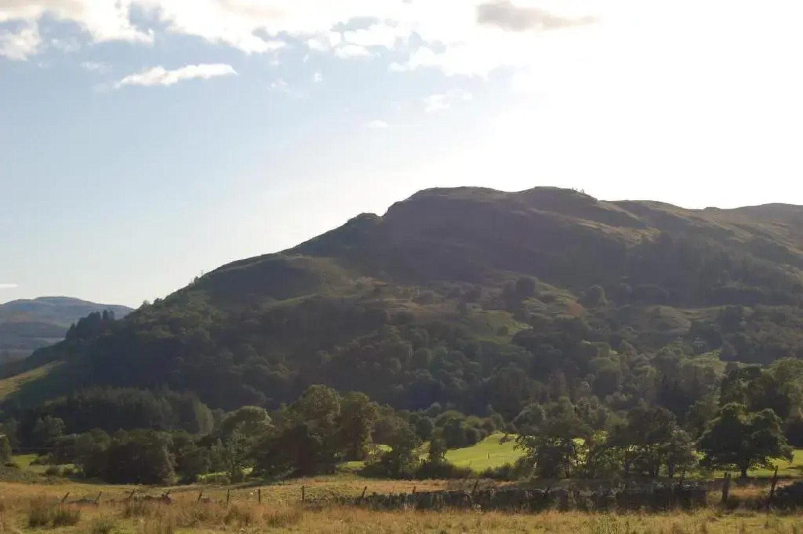 Cosy & compact Rowan Lodge no4