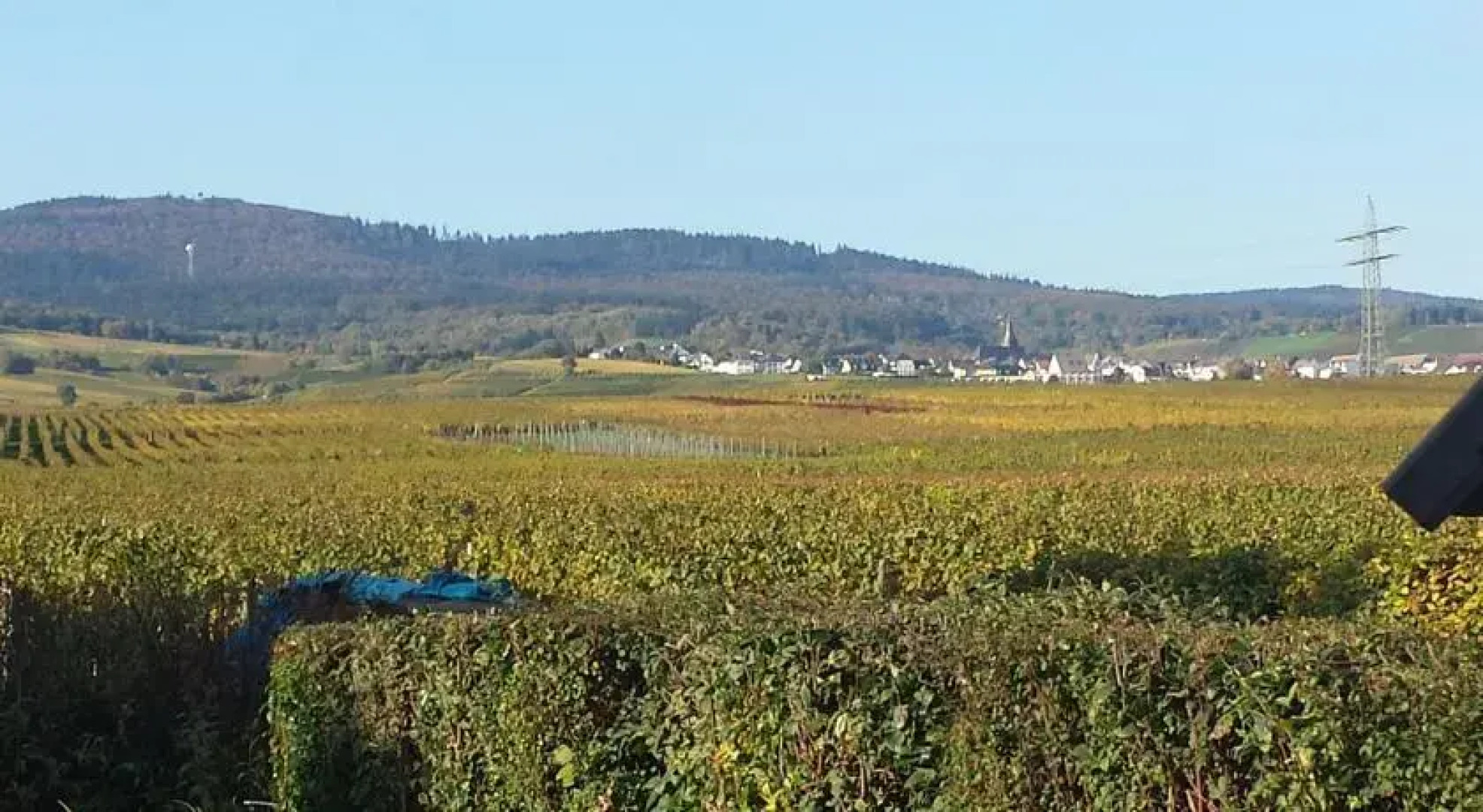 Ferienwohnung Weingut Leis