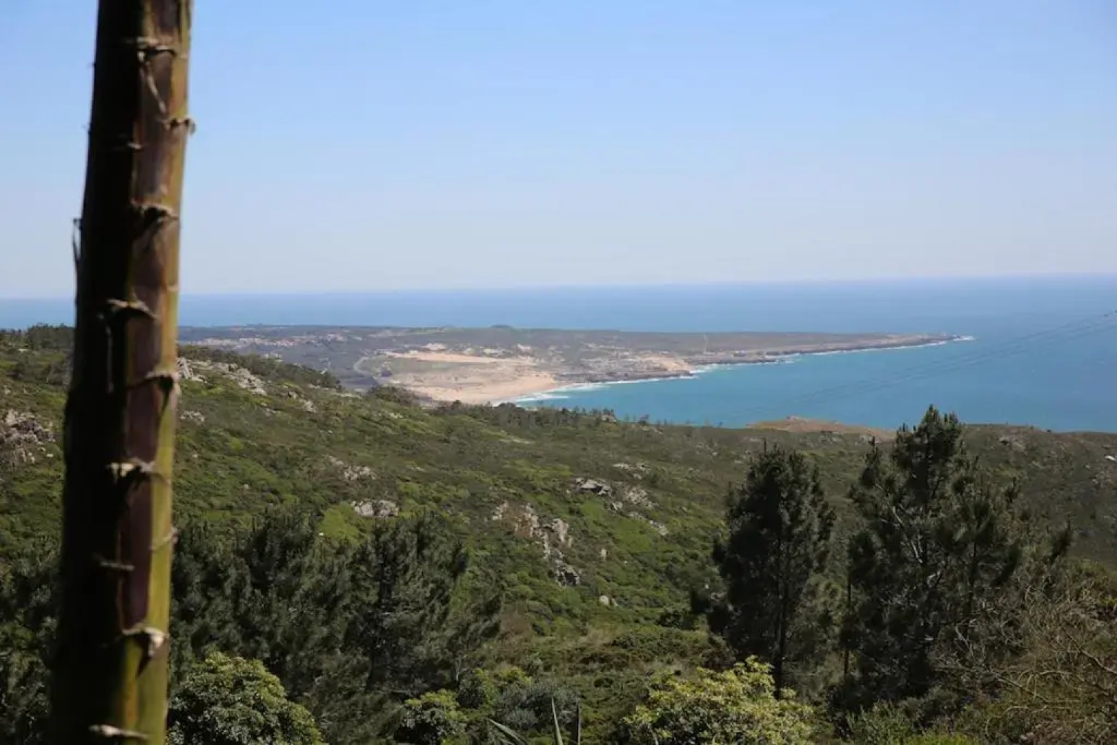 A House in The Woods