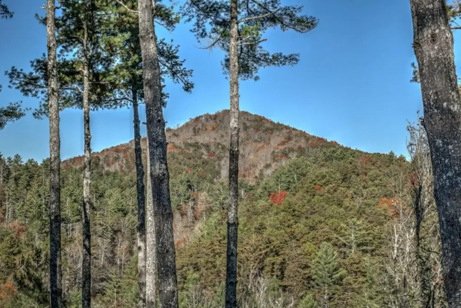 Knotty Barn by Escape to Blue Ridge