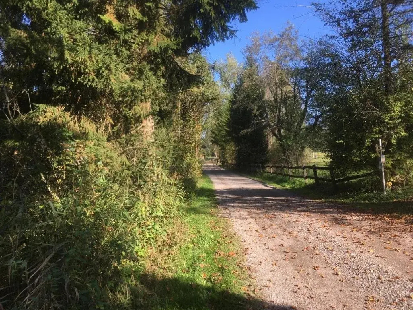 Appartement zur Post