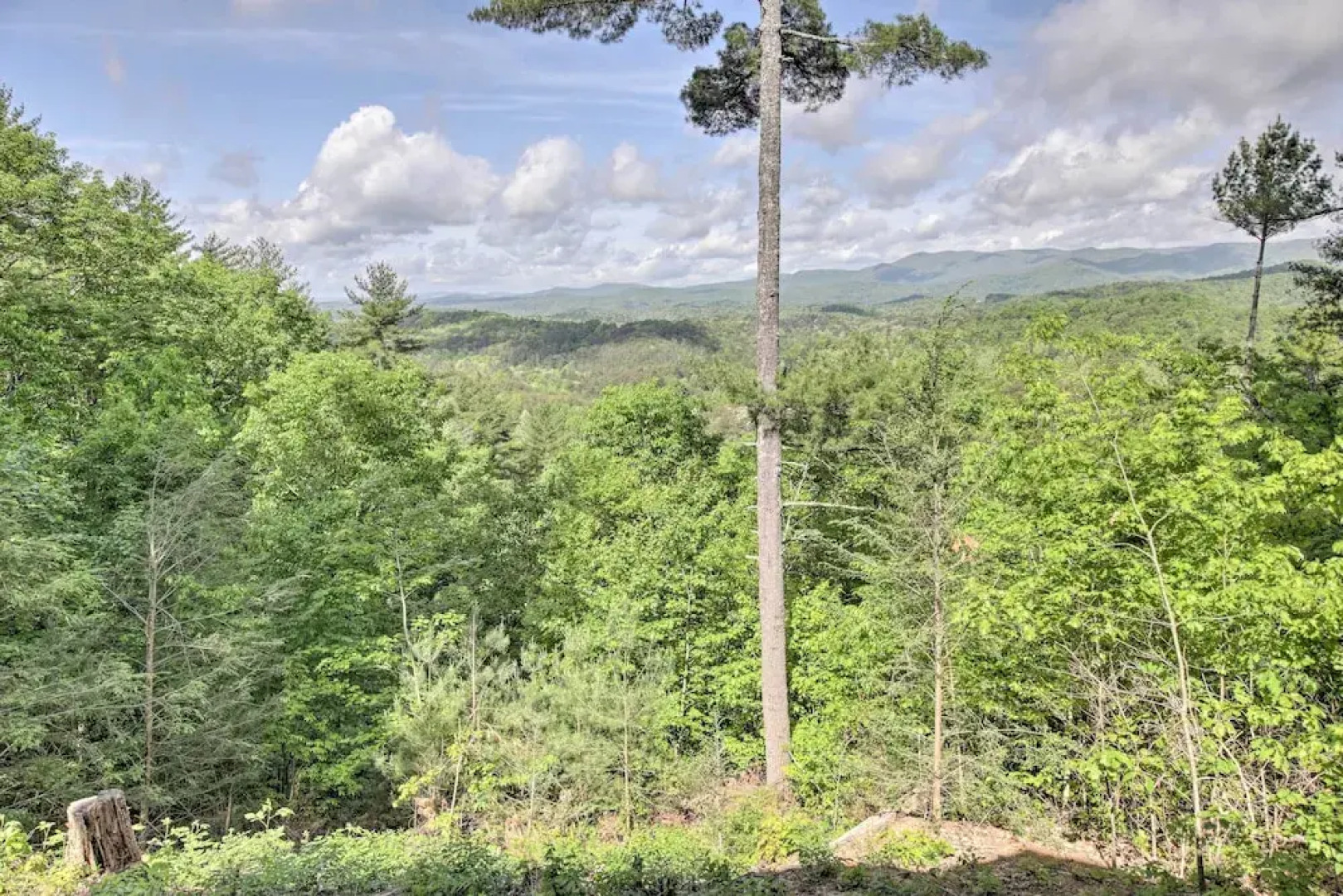 Treetop Hideout w/ Long-range Mountain Views!