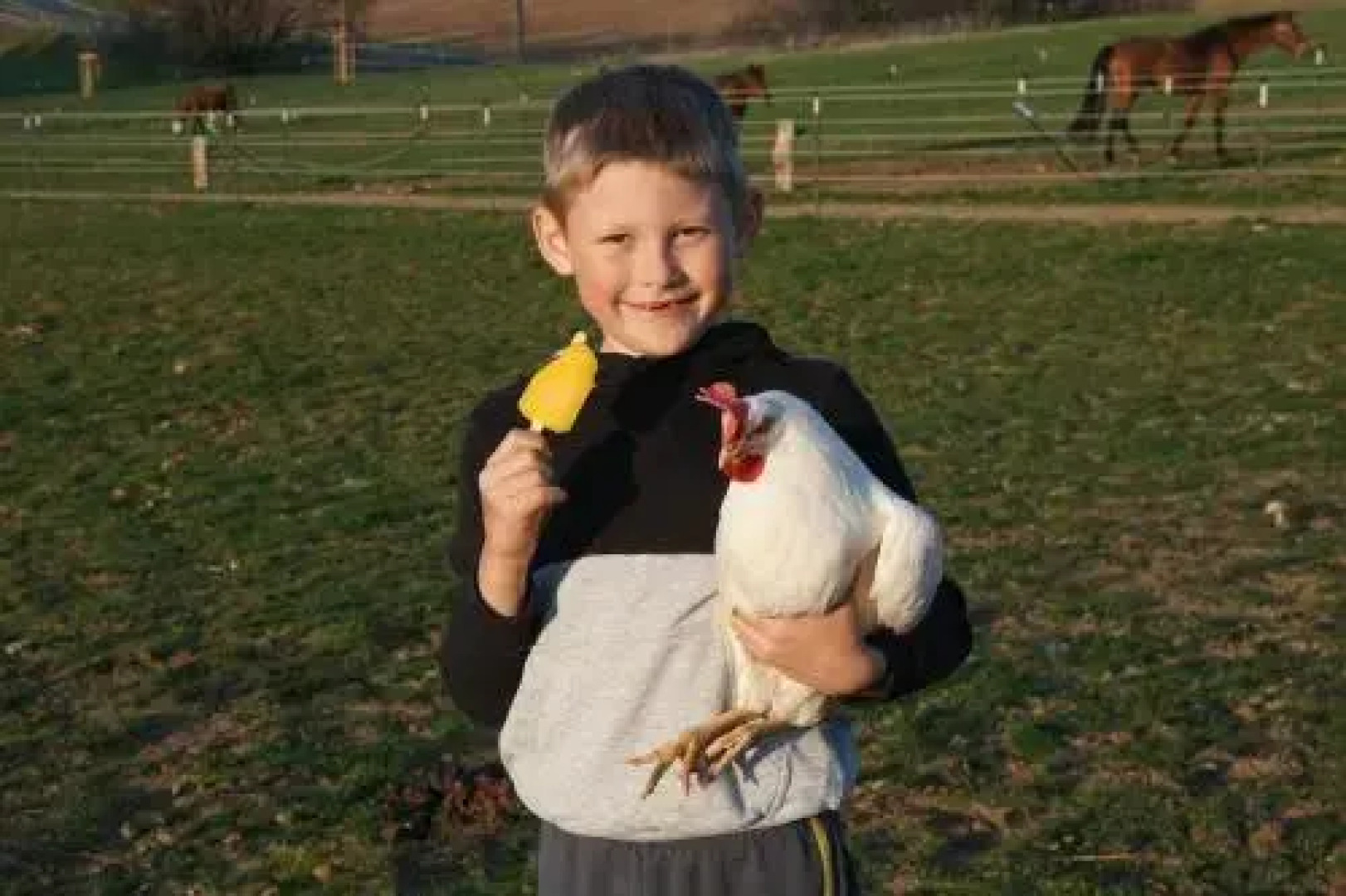 Freizeit Reitstall Schammelsdorf