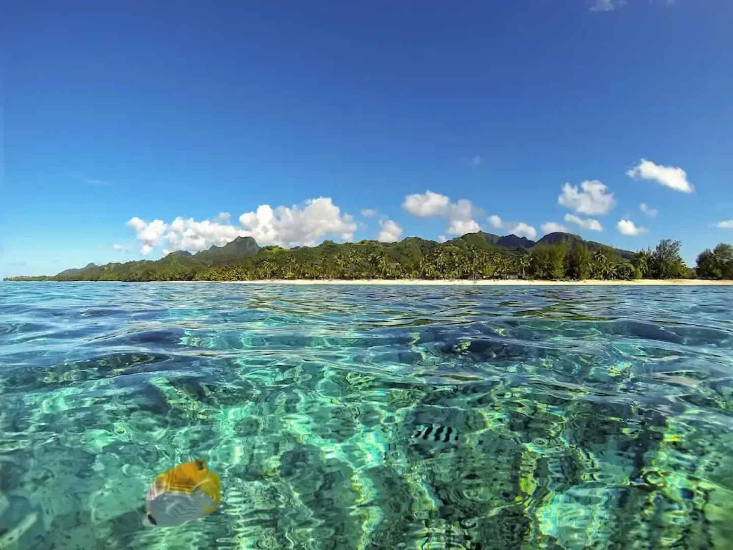 Sea Winds Luxury Villas