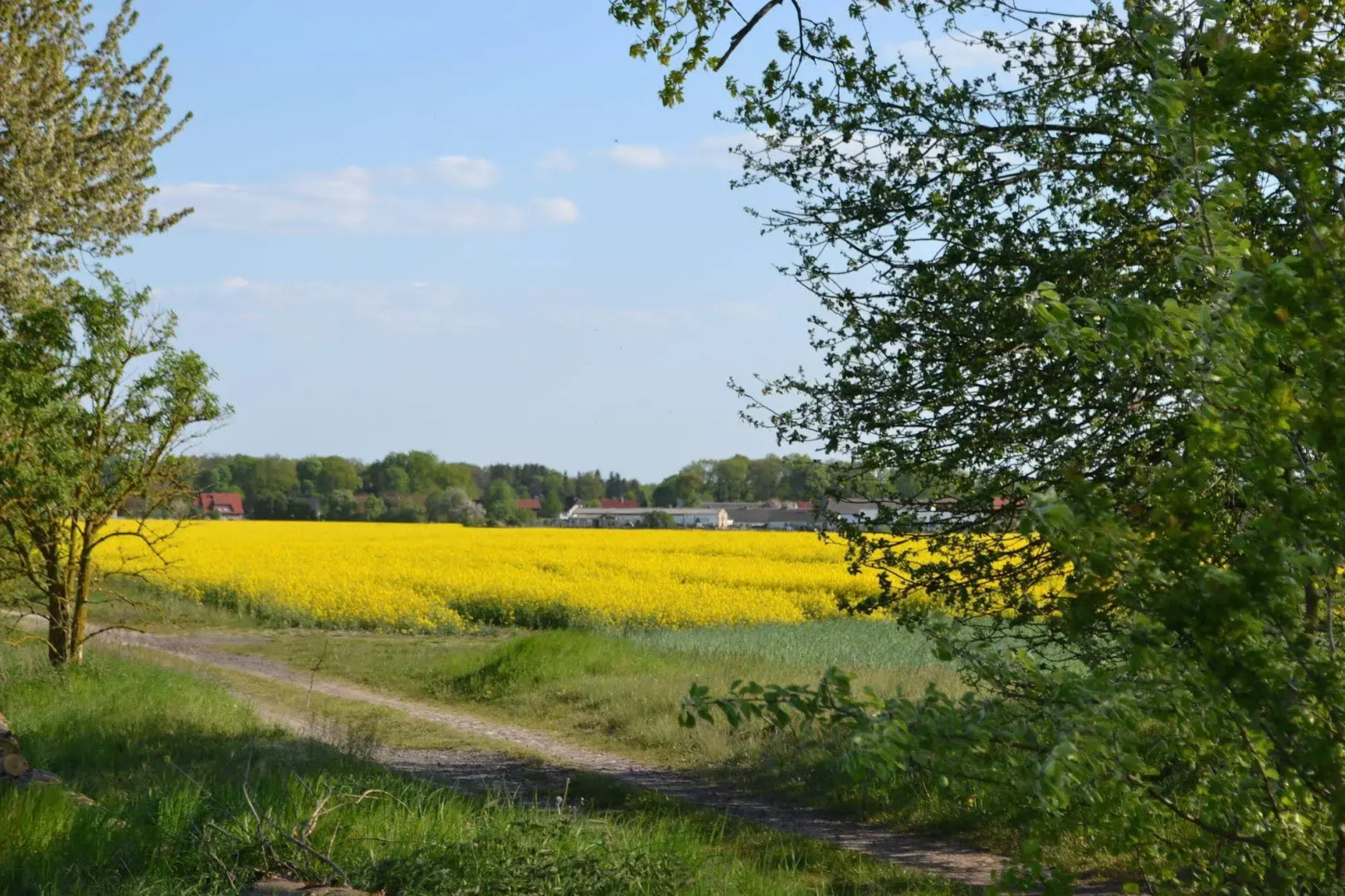 pur NATUR & berlin ALEX 40min.
