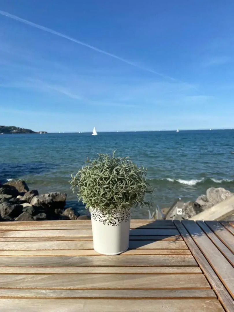 Les Hauts de Biantenia Avec Wifi