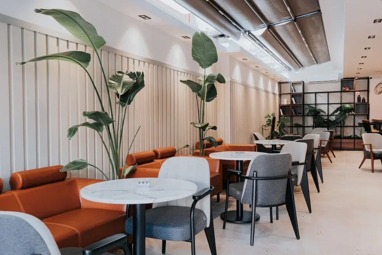 Angelo Coffee Suites