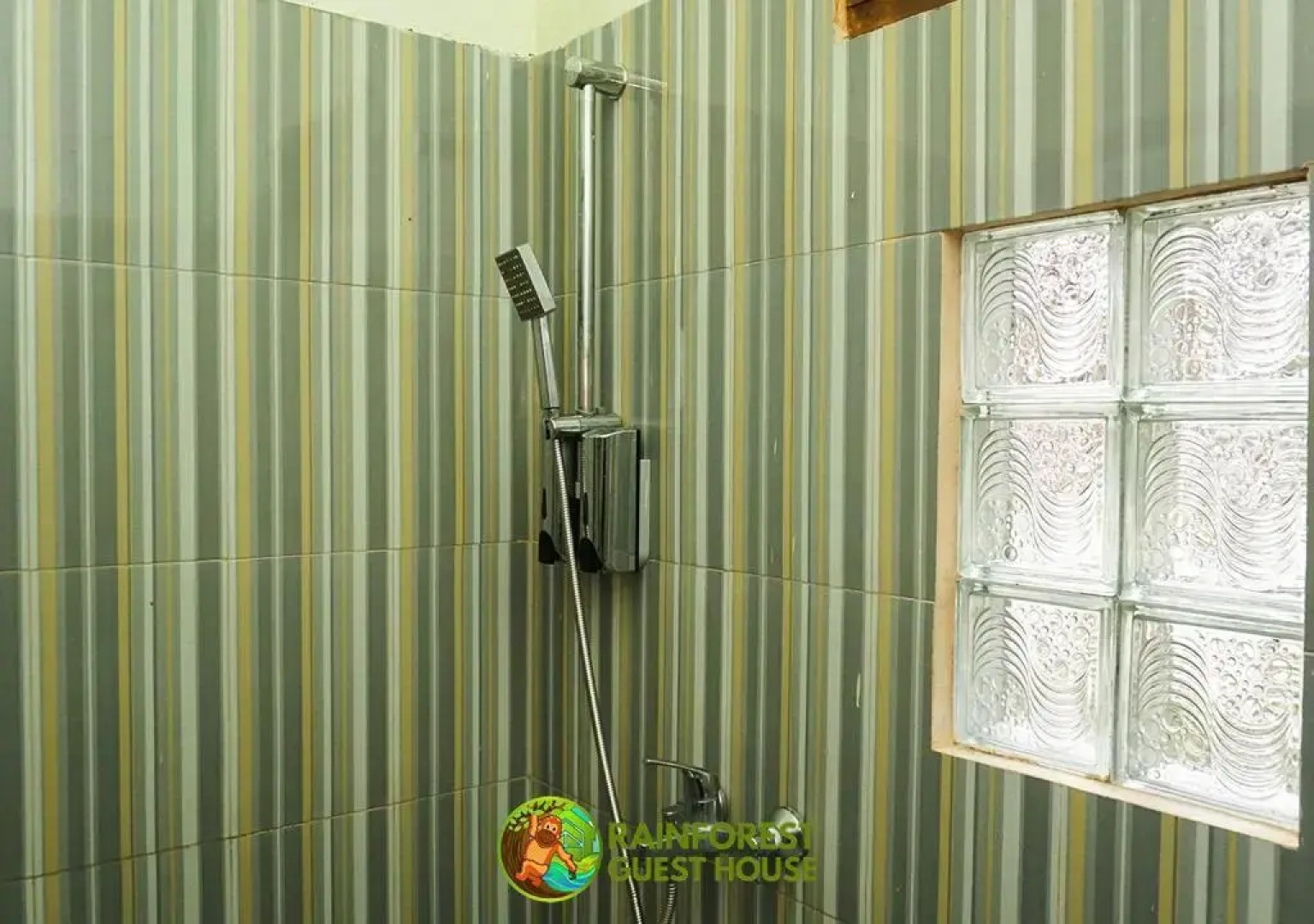 Rain Forest Guest House