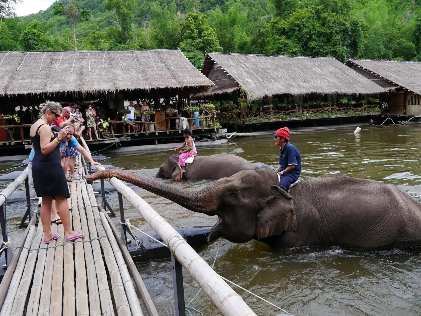 River Kwai Jungle Rafts