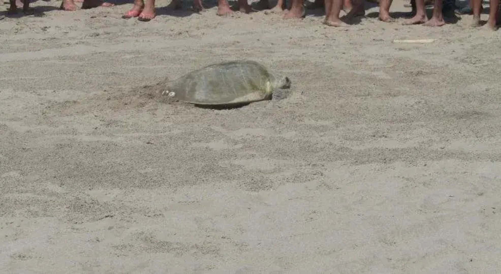 Gran Hotel Plaza Marsol