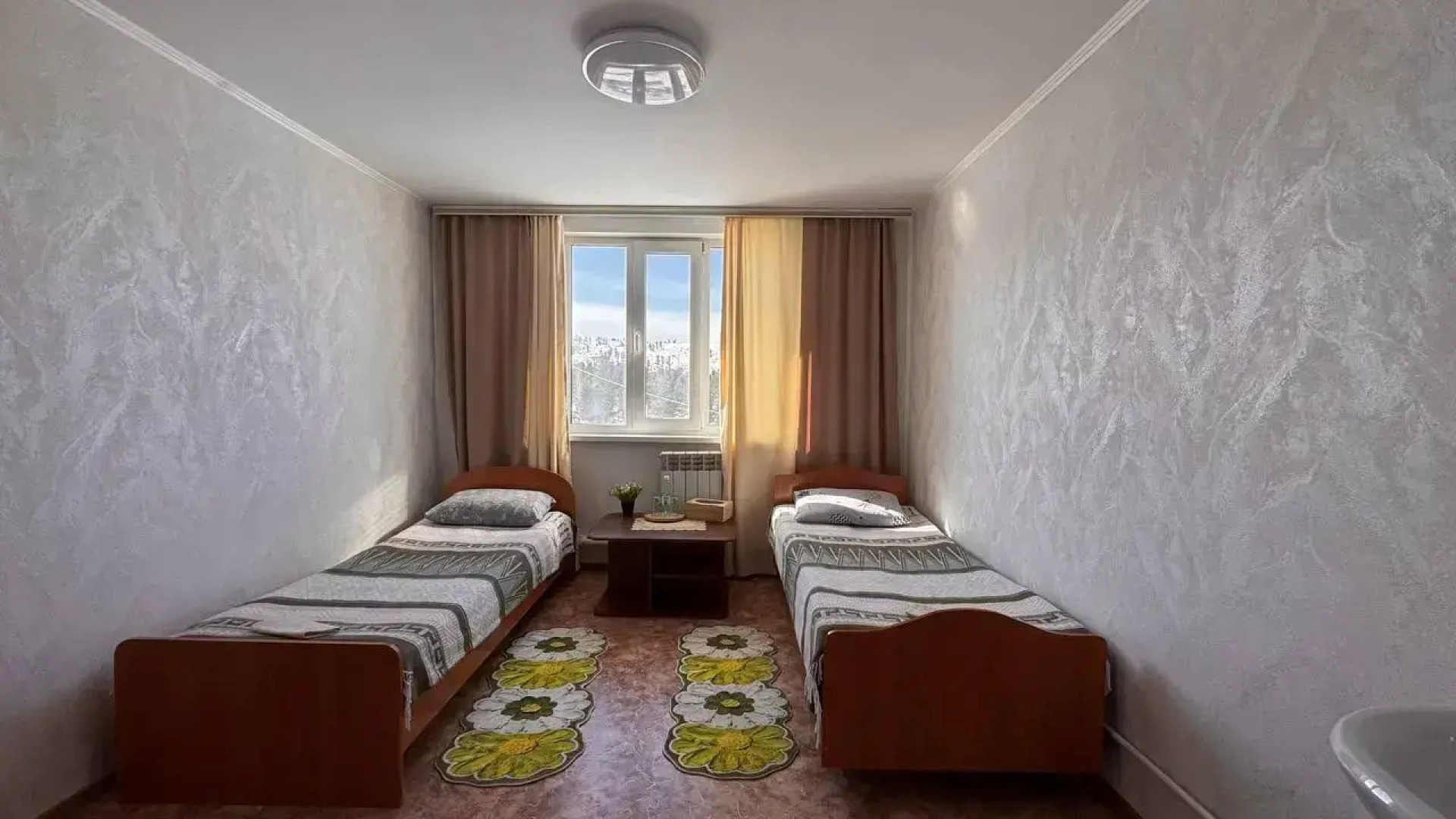 Кедр Золотой