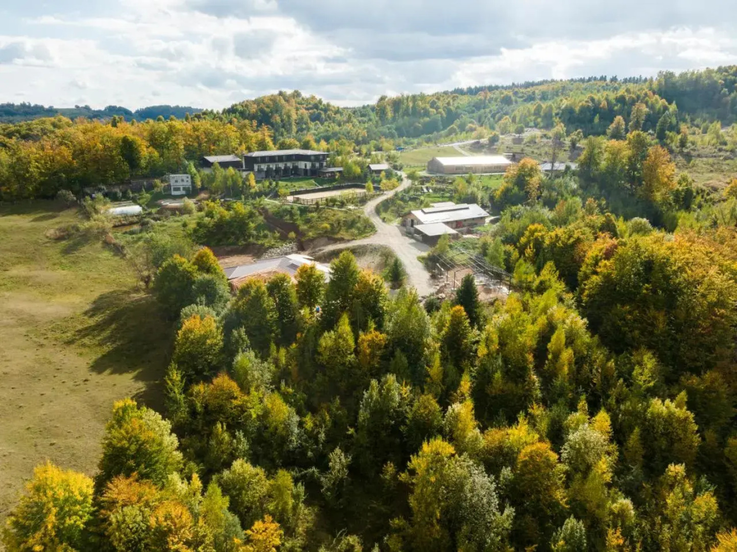 Potcoava Mountain Hideaway
