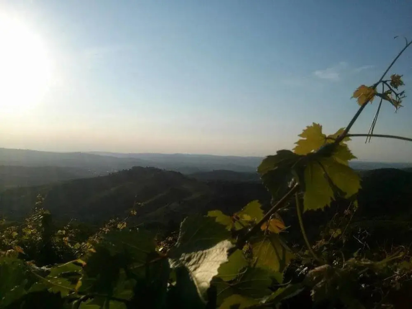Agriturismo Ai Ciuvin